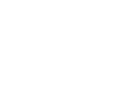 Guy Kawasaki.png
