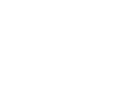 Leopoldo Gout.png