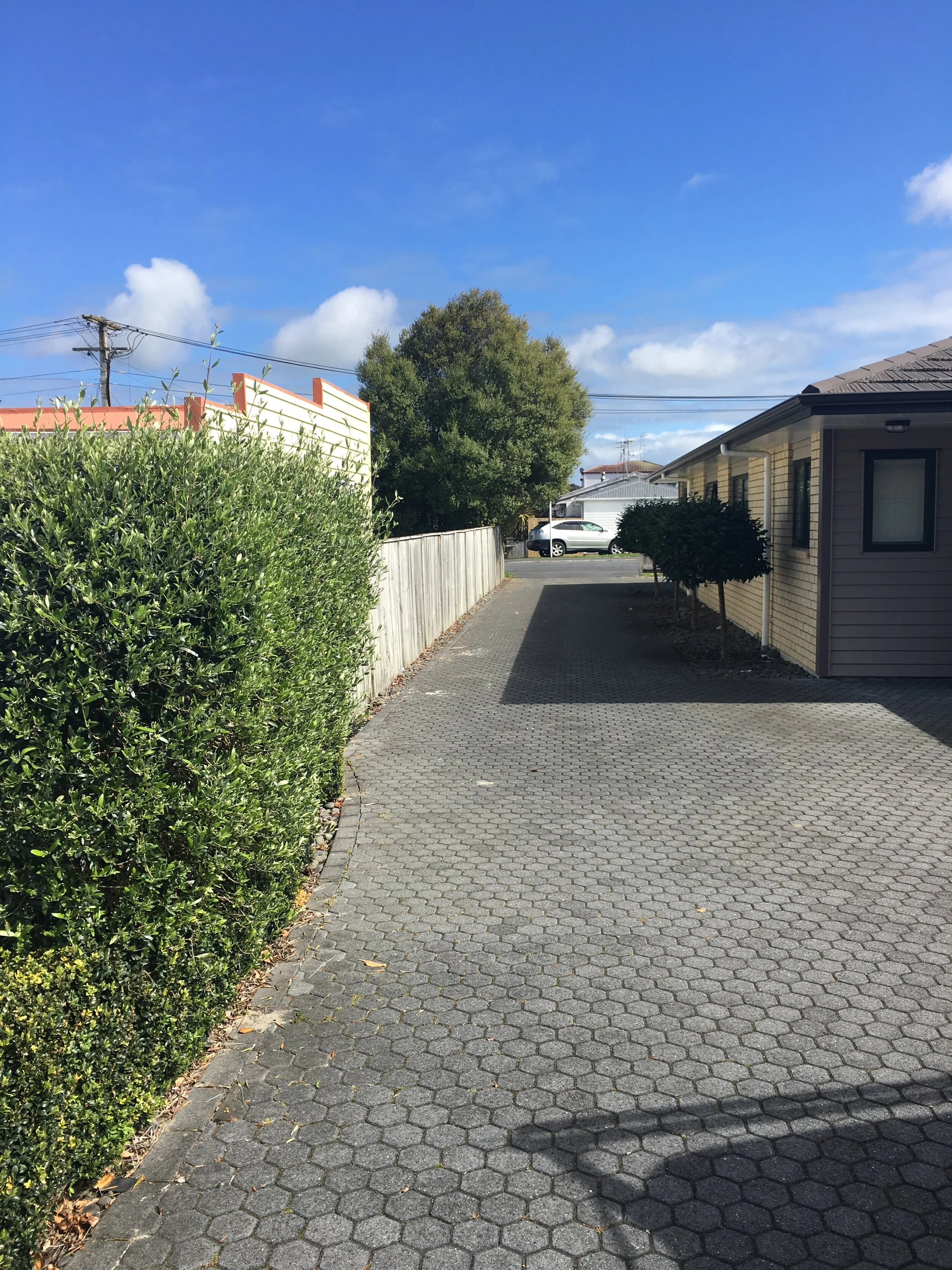 grounds maintained by the landlord