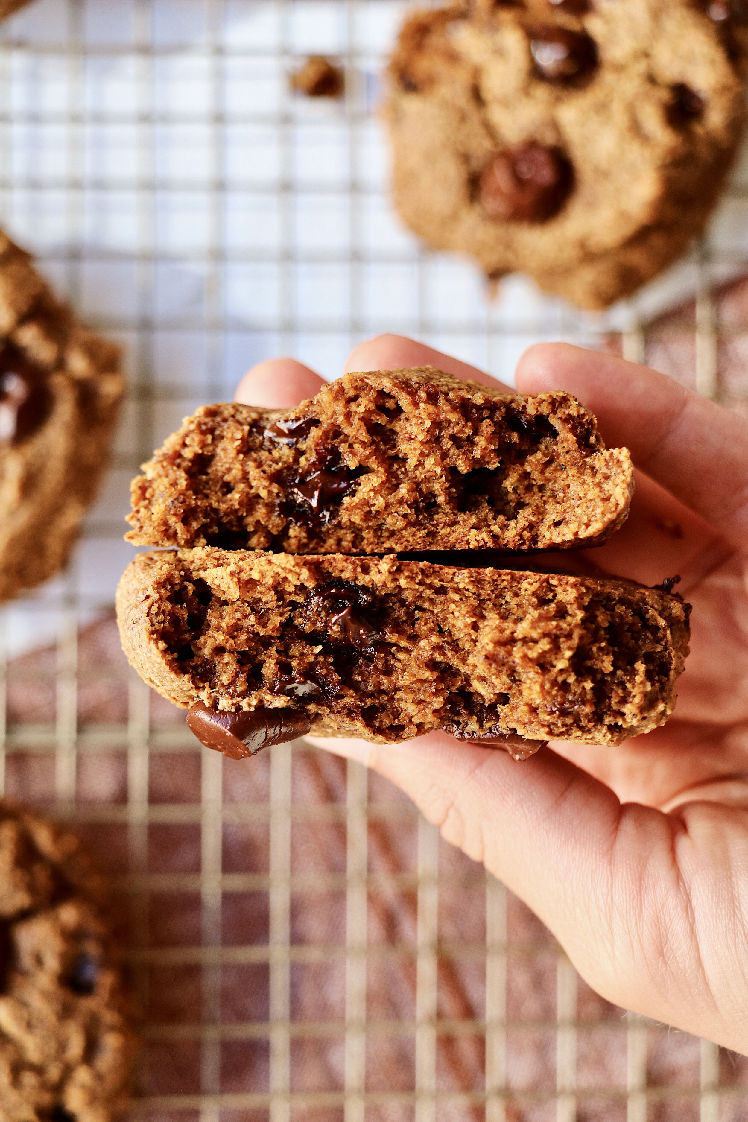 Pumpkin Spice Chocolate Chip Cookies