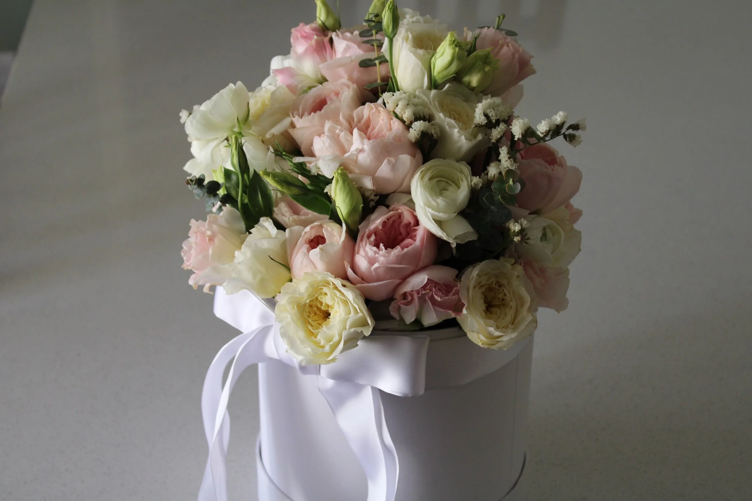 80B85589-87D3-49FE-9AA1-593253A40285