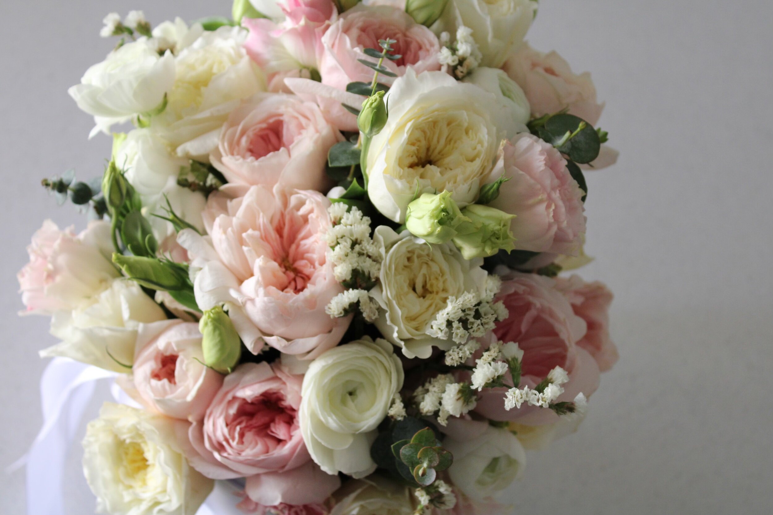 7EEC4E64-702A-42E4-9D88-806C2ABC8AA1