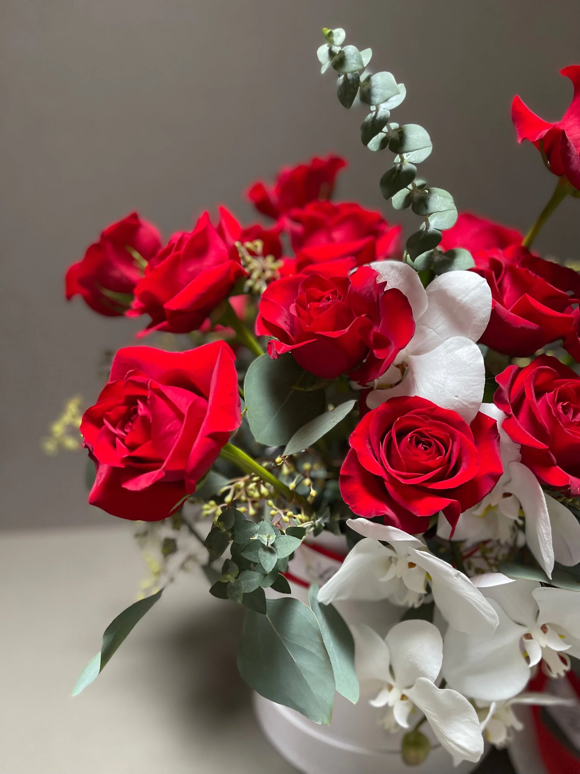 E6184233-27EF-4D08-82A2-C17E0CE35CE9