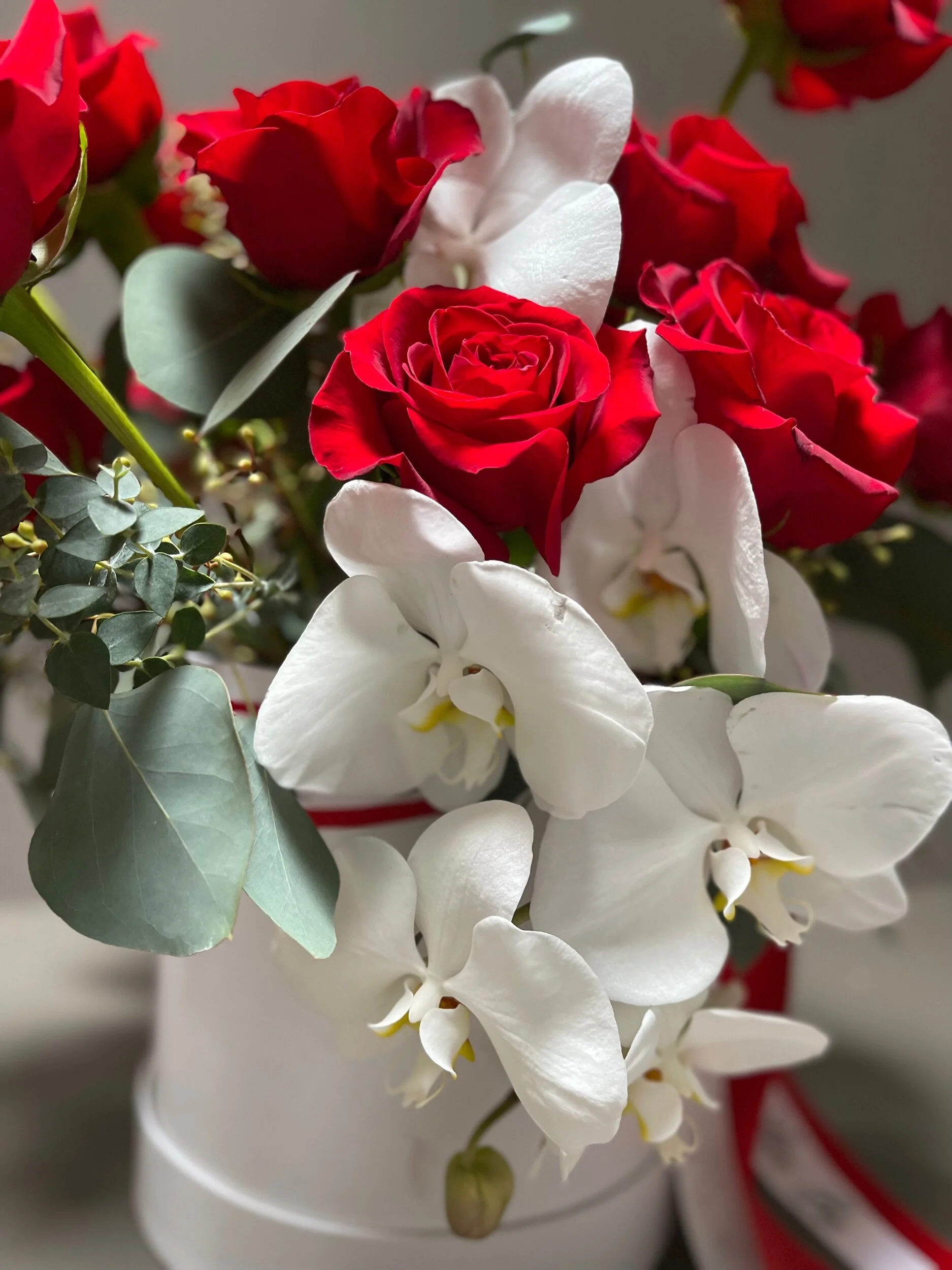 E5EAEC35-BA9C-44E3-B06F-E70CA8CEB5B2