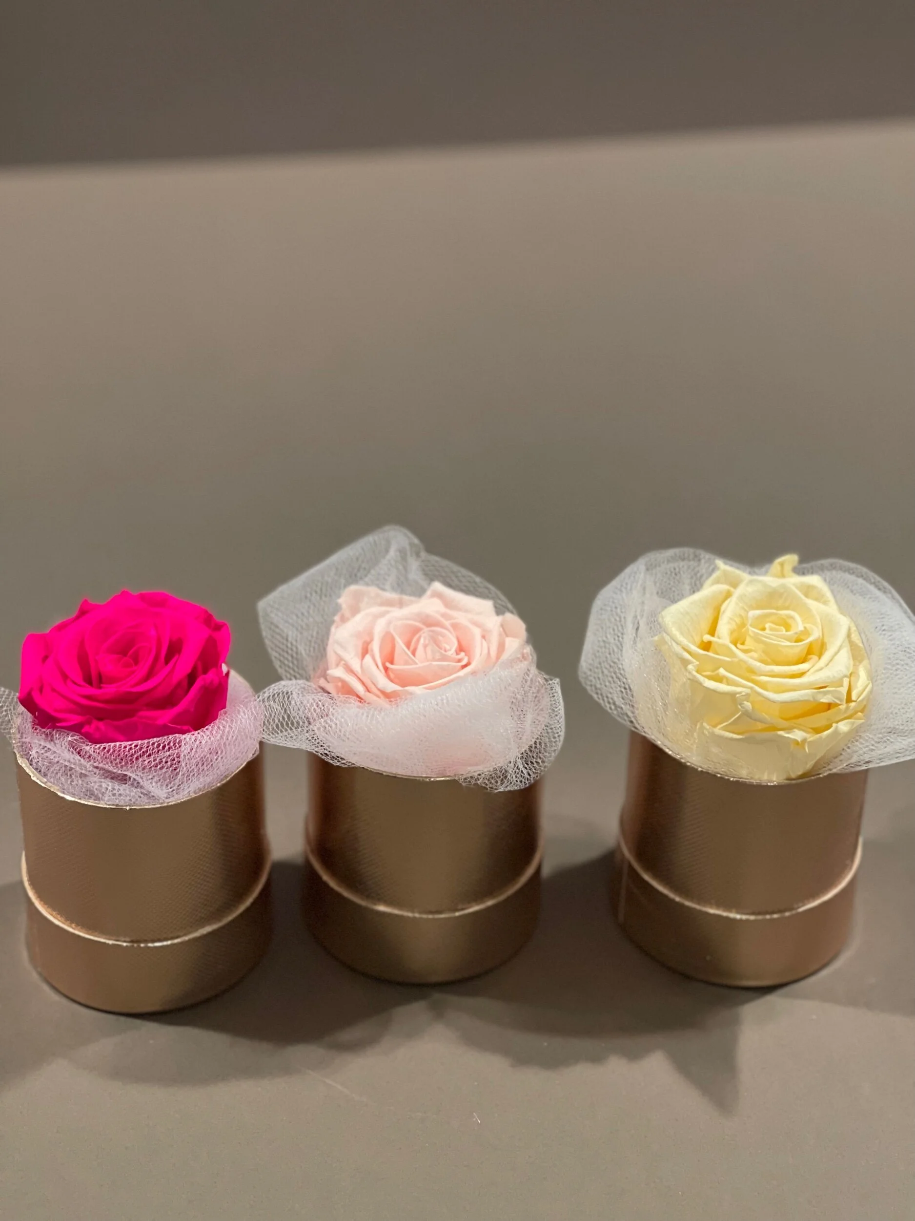 54733496-E56F-478E-8898-553A60ED16C6