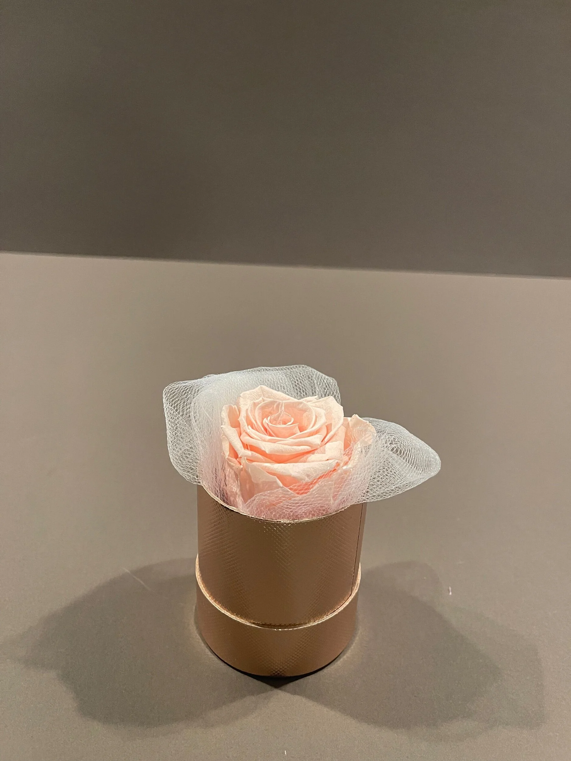 FDC16ECE-E7C6-4C44-8D3B-BFC3AFA741D2