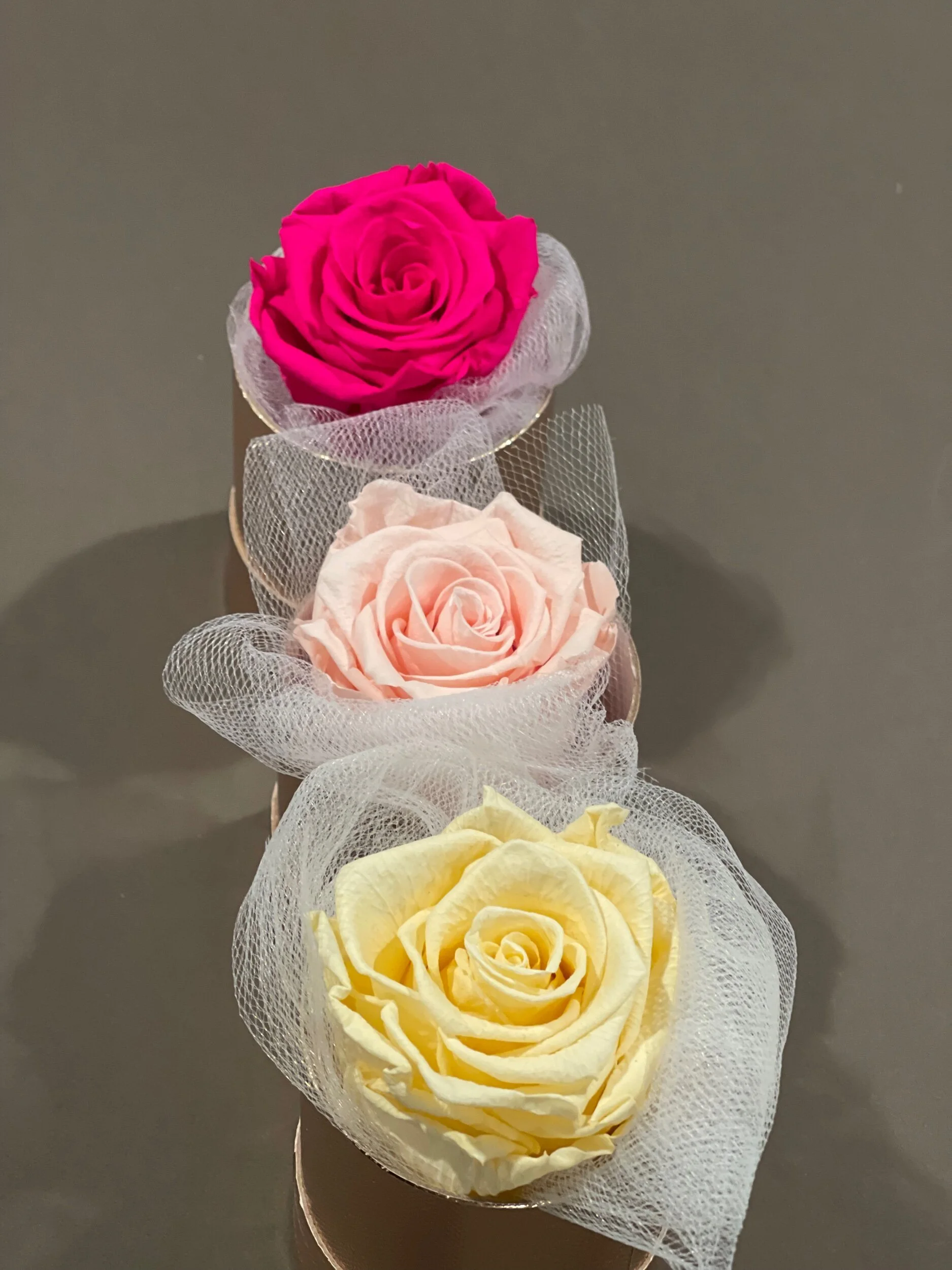 DCAC62CC-9ED7-4143-B7FC-6E2A91F6F849