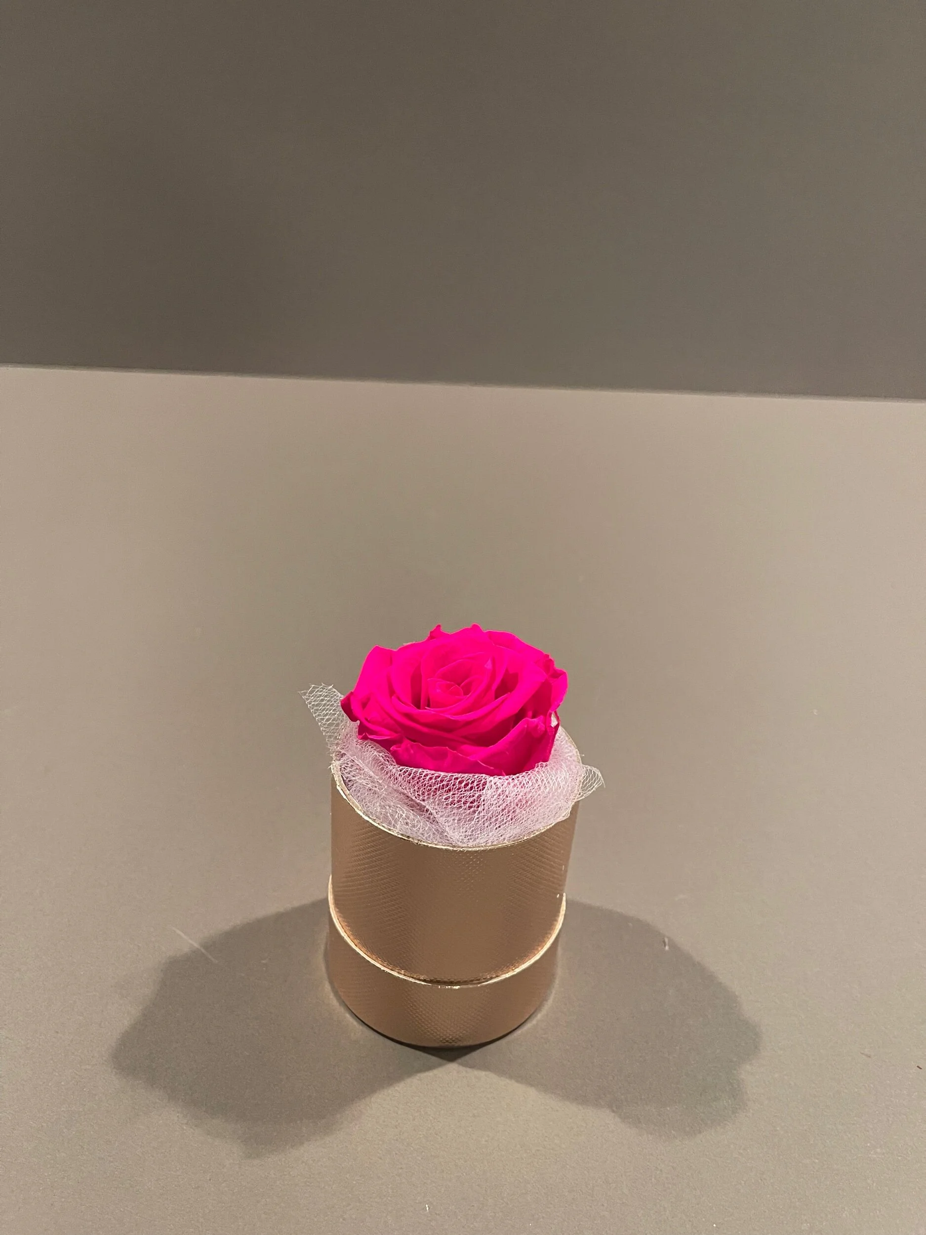 6F7F9C5E-A2AD-4F07-8D61-C129D84D50B0