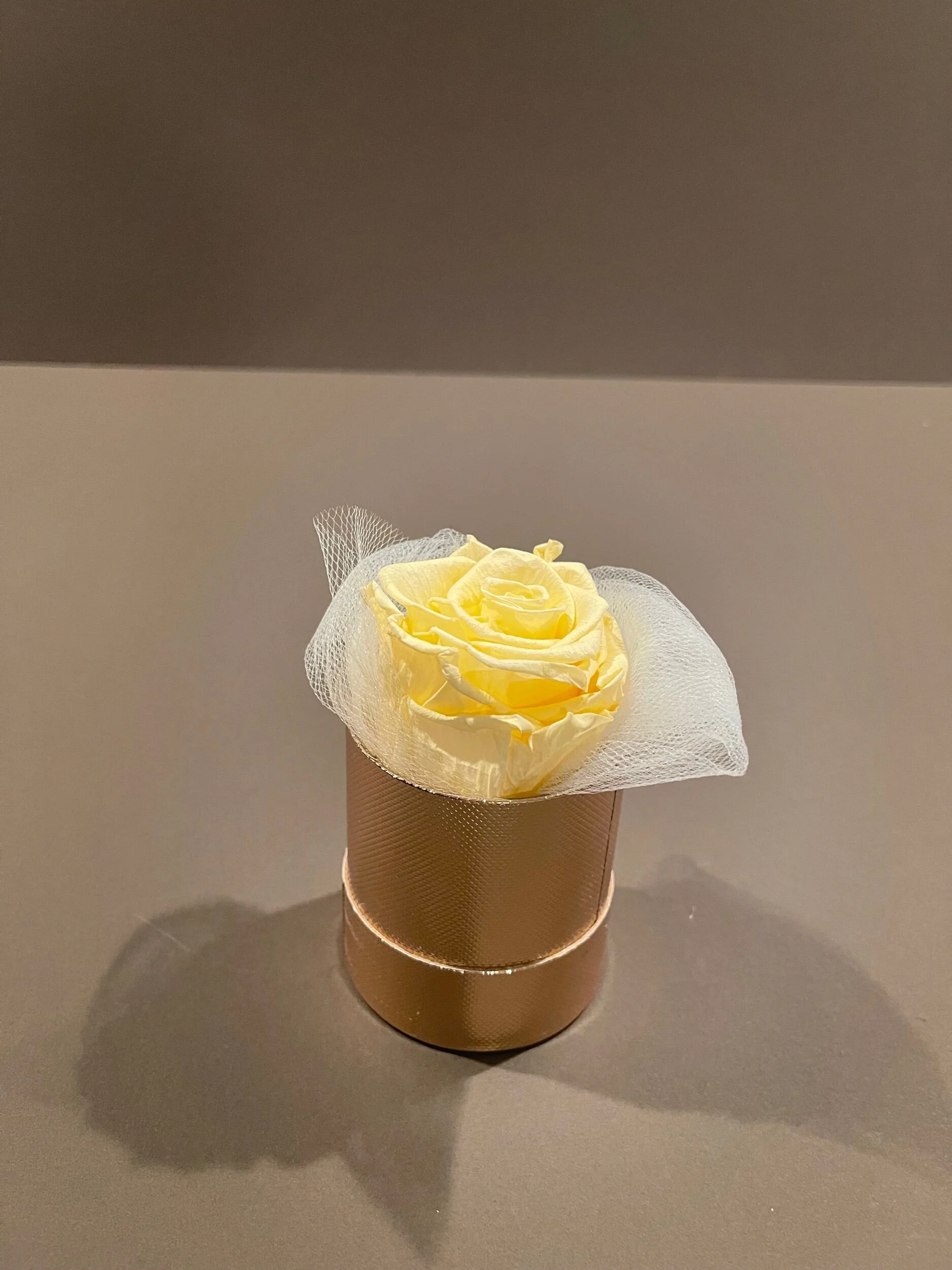 C6878012-03DE-4F54-A095-CB05AF0F56B8