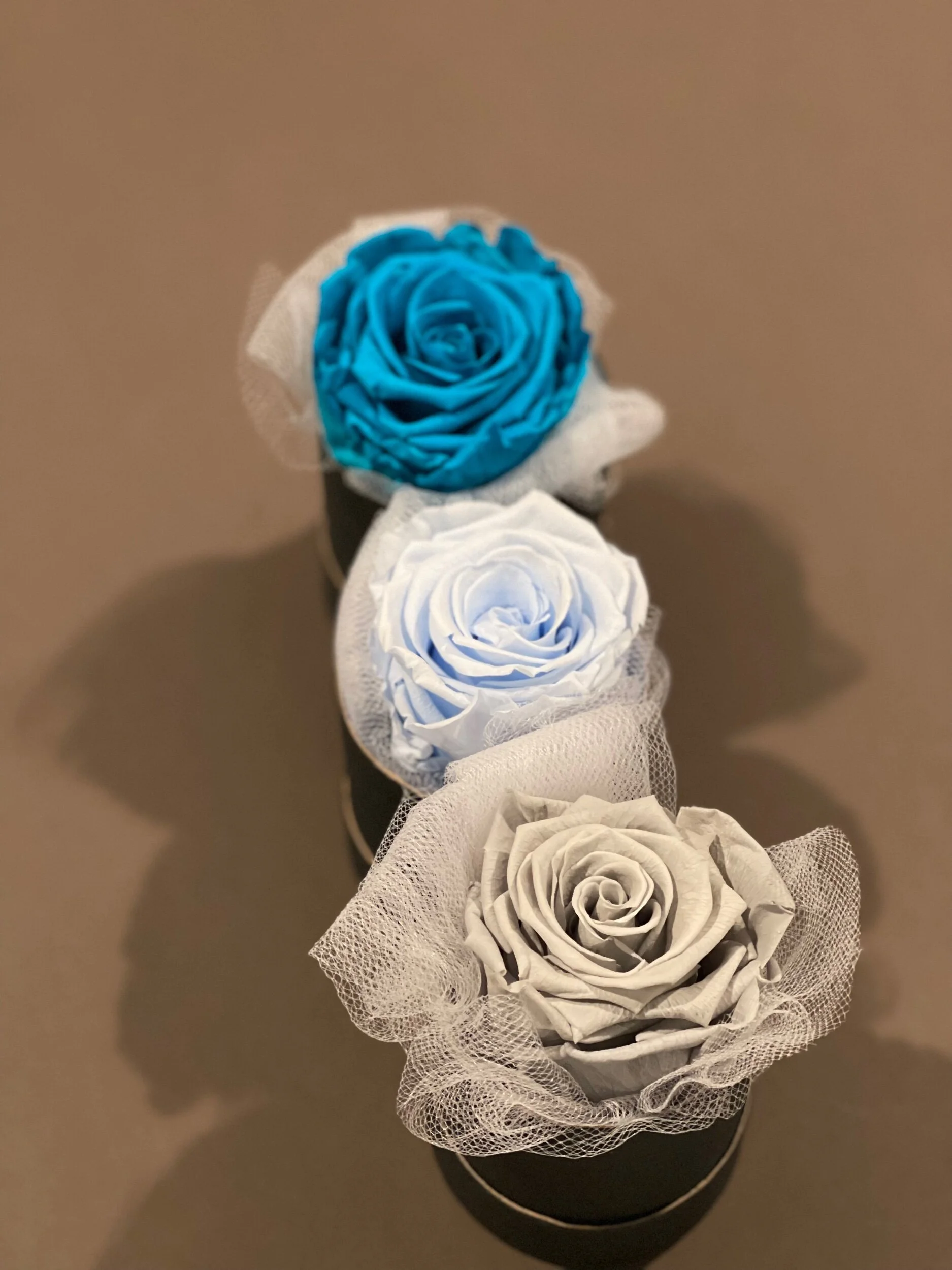 00E5A030-C08B-4F7D-8D13-BB6EDEF38E33