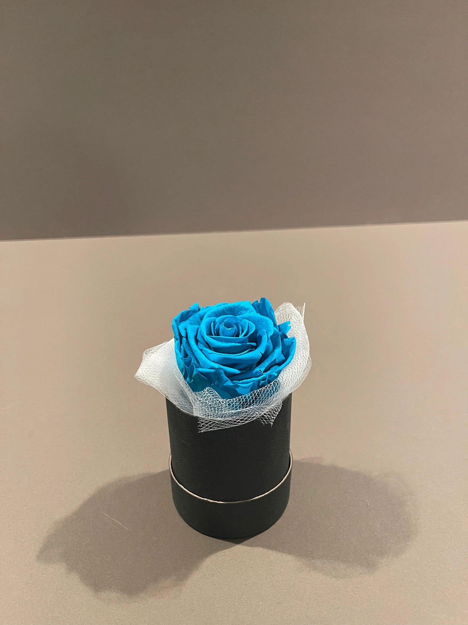 A9A4CD38-80D2-41F1-80B3-4F65C394E795