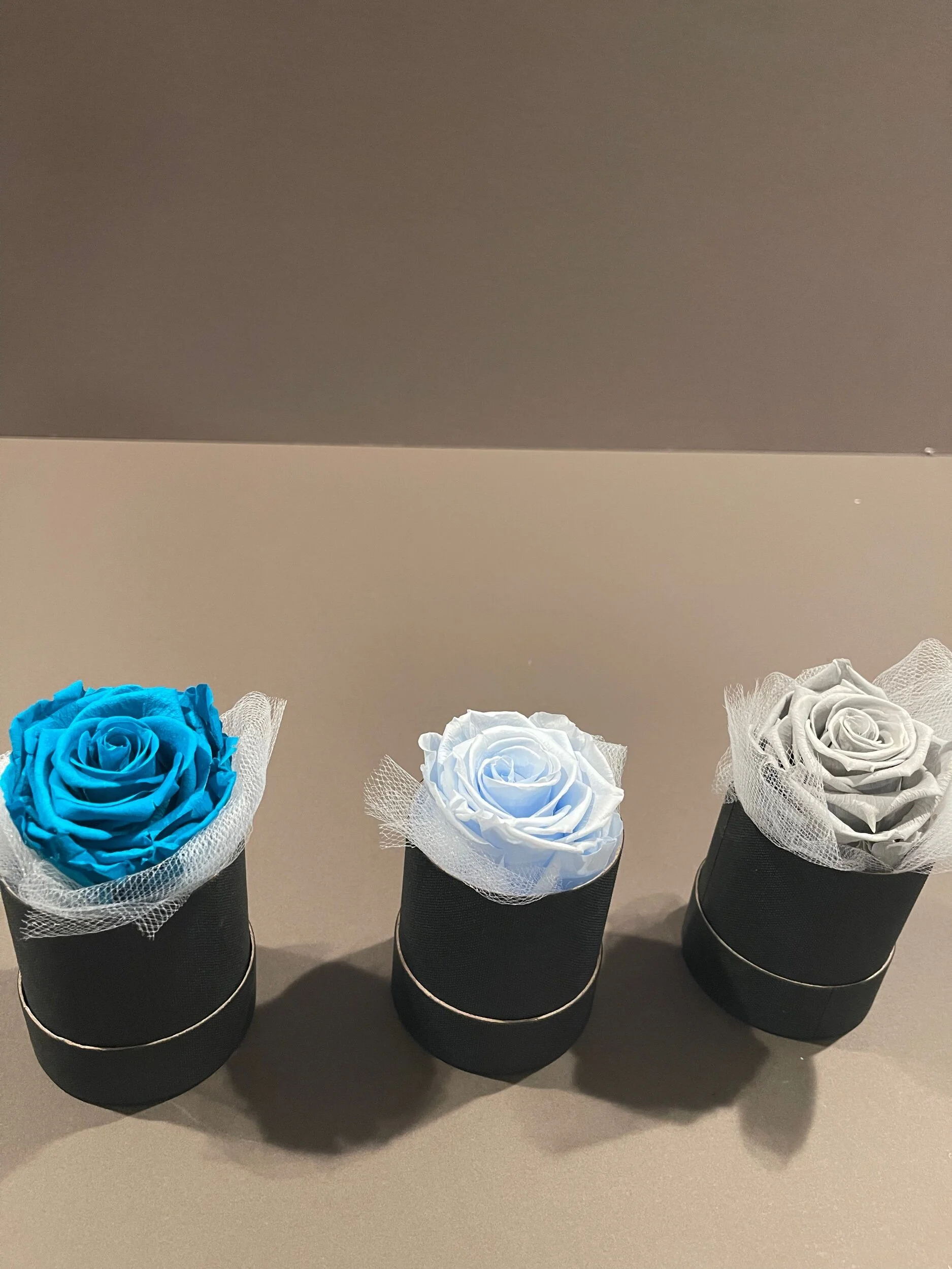 599733B7-82F1-4CF2-8415-BF36CE6335A5