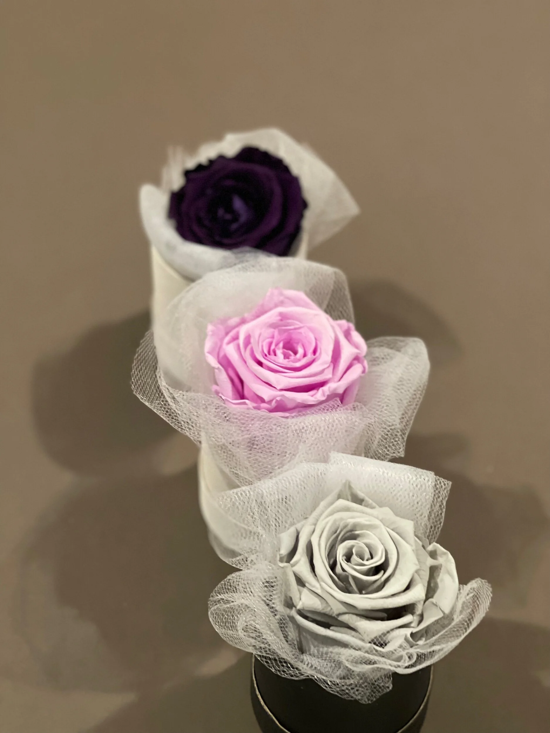 CC61C153-FA93-408F-B461-857CDD9E284F