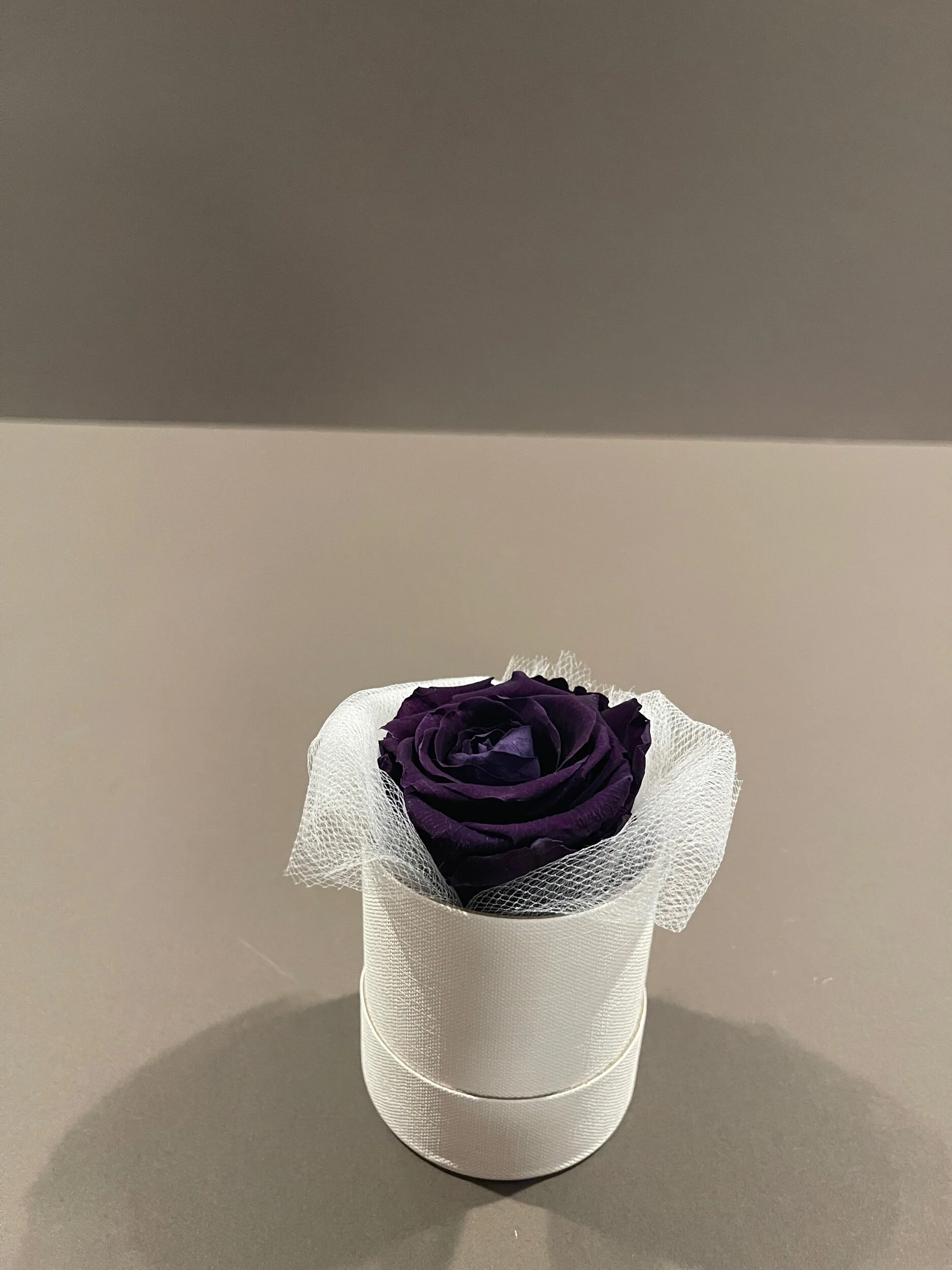 3D0EA0C2-60B7-43CB-99E5-45DDD319746C