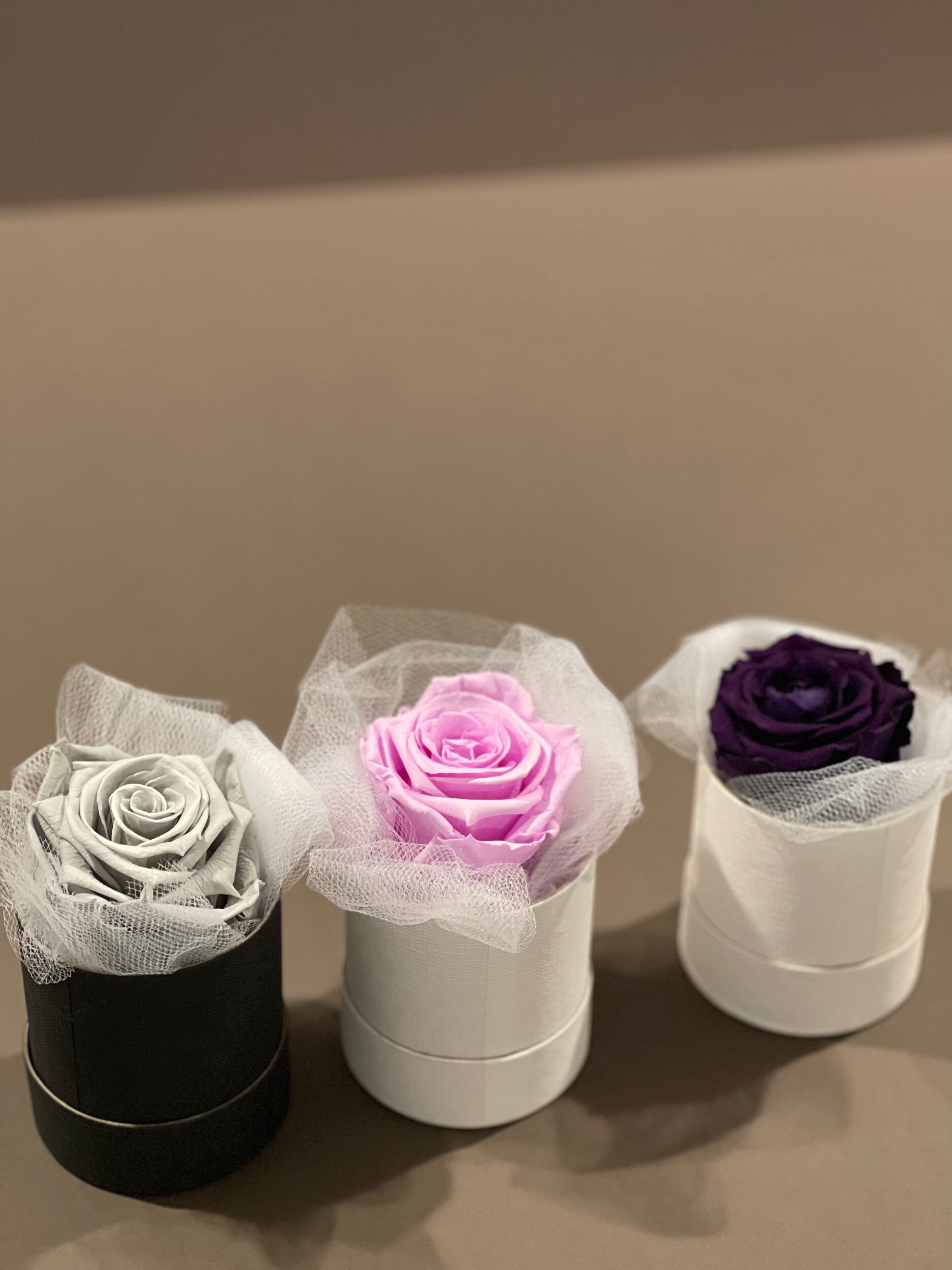 8E0C0FF7-0DB4-419C-ACA3-BE6FCFB22C5F