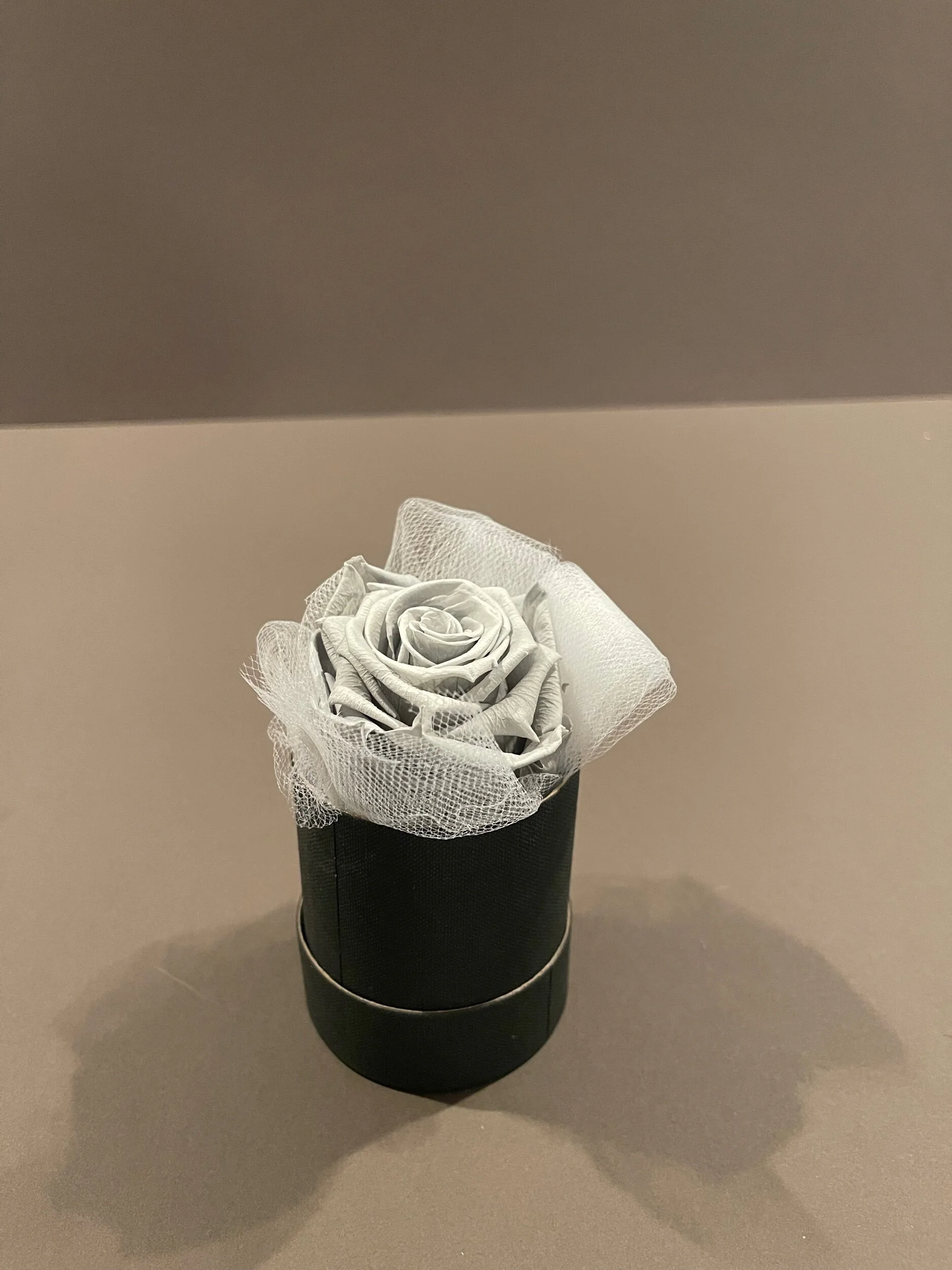 B46CD443-6090-4A2A-9EA6-7773AE974CE4