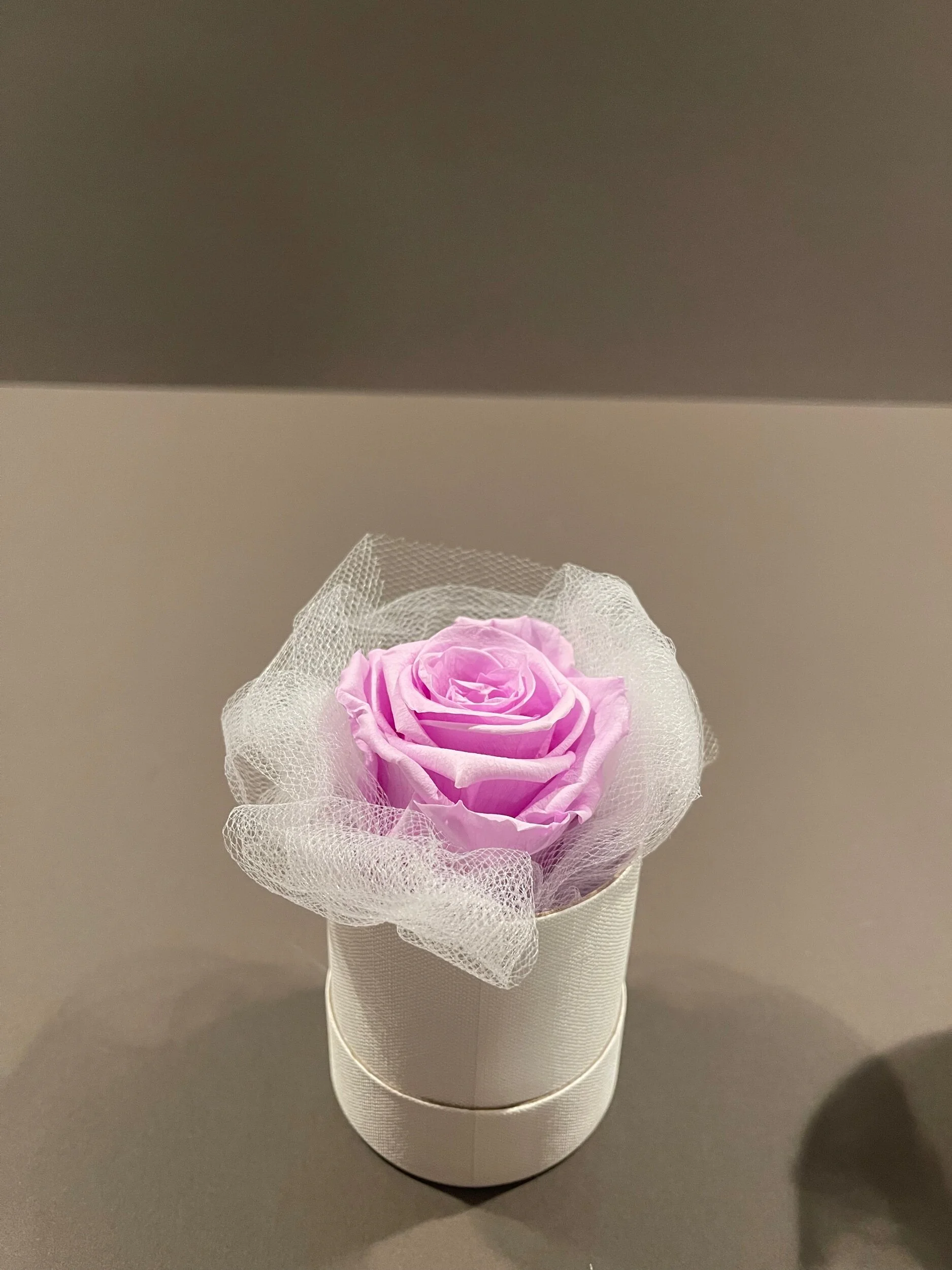 A4DA510D-9797-4266-9C56-20528E986B79