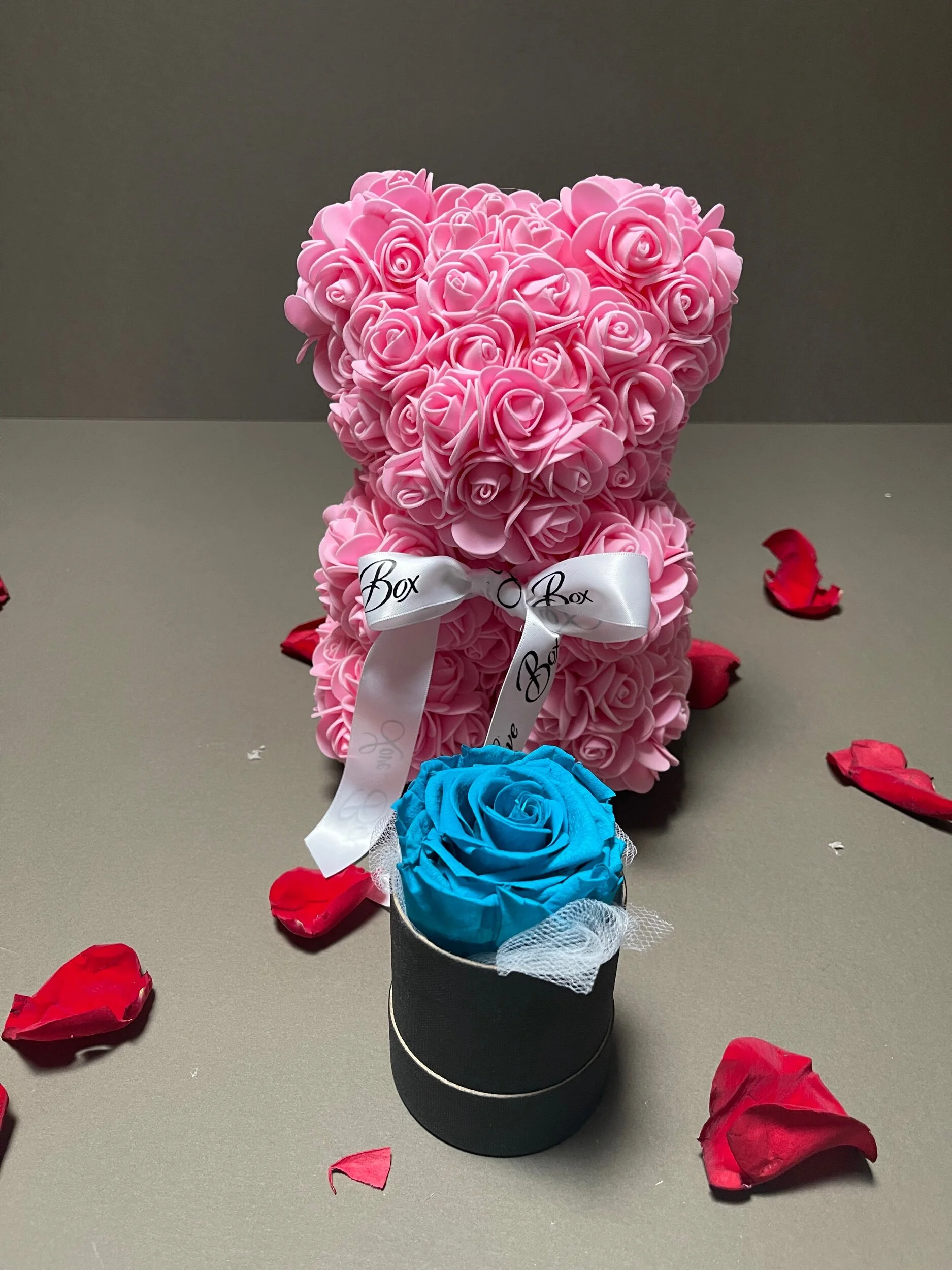 C3E25594-6A69-4C3F-9523-40F20F5A1C4B