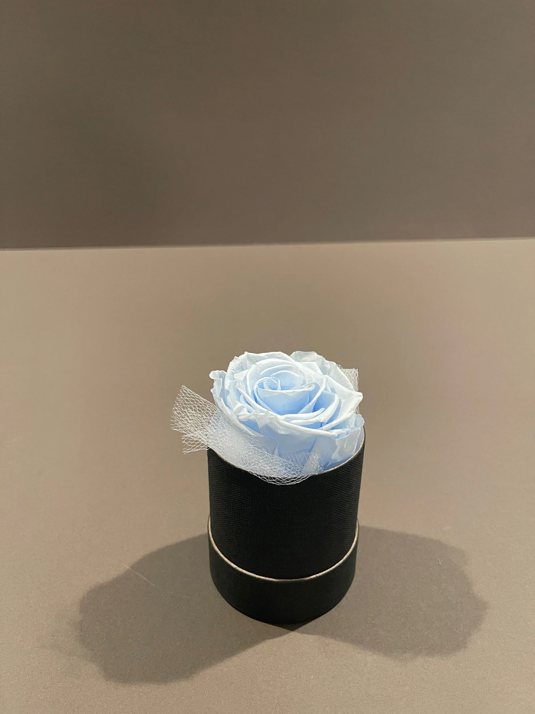 7C1F6ACE-293C-460A-AF29-25D15C3C8404