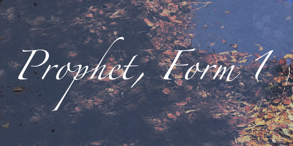 02_prophetform1_banner_1000x500.png