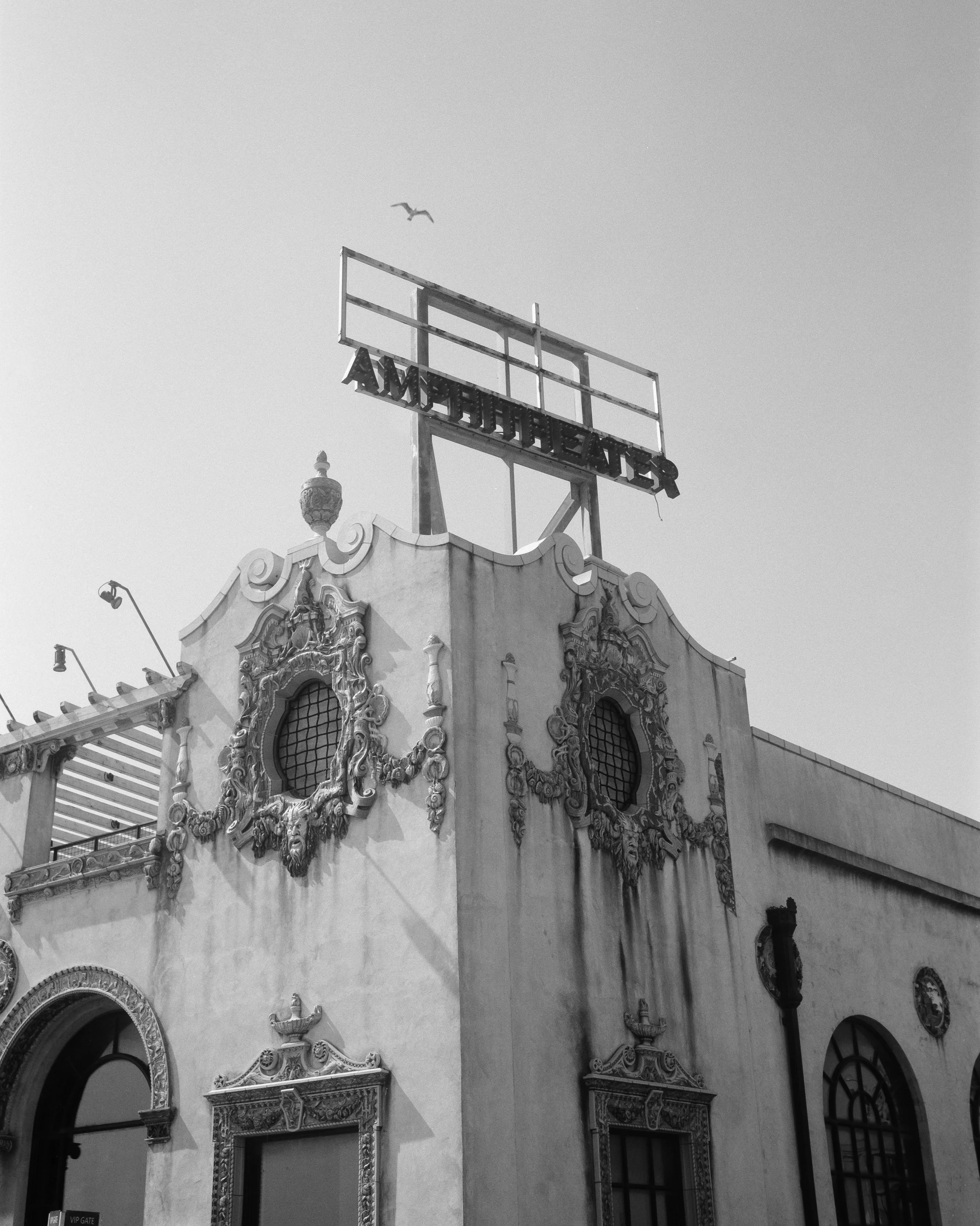 2025_Mamiya7_Kentmere200_BirgitBuchart_00002_edit2.jpg