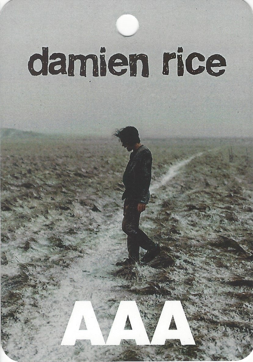 Damien Rice 23.jpeg