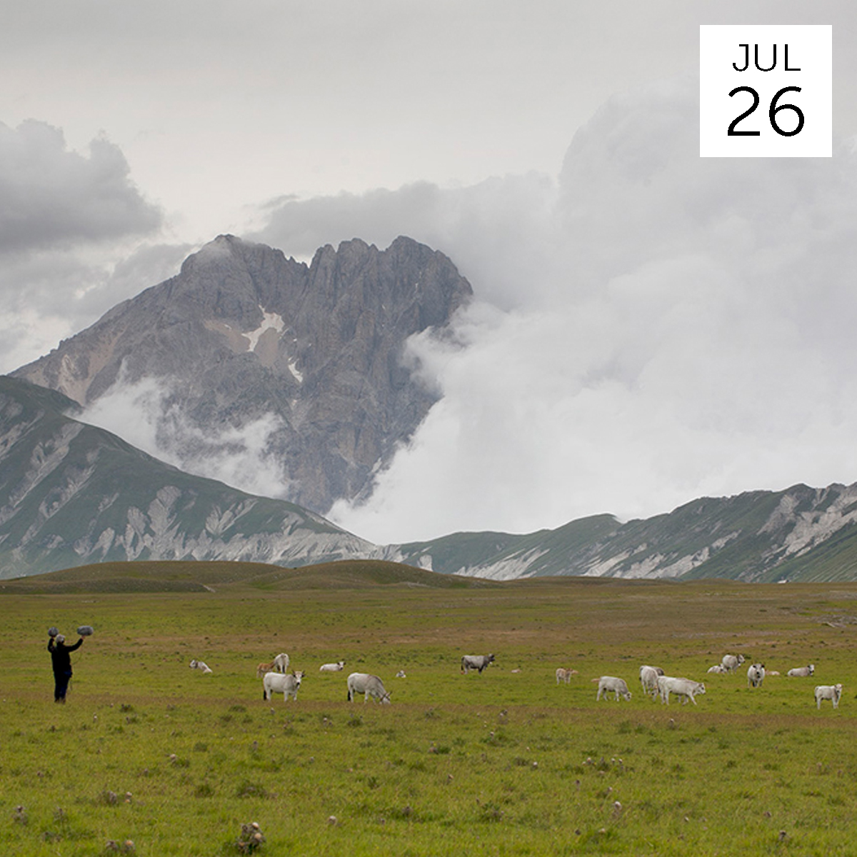 Institute of Italian Culture – Manifesto for Rural Futurism