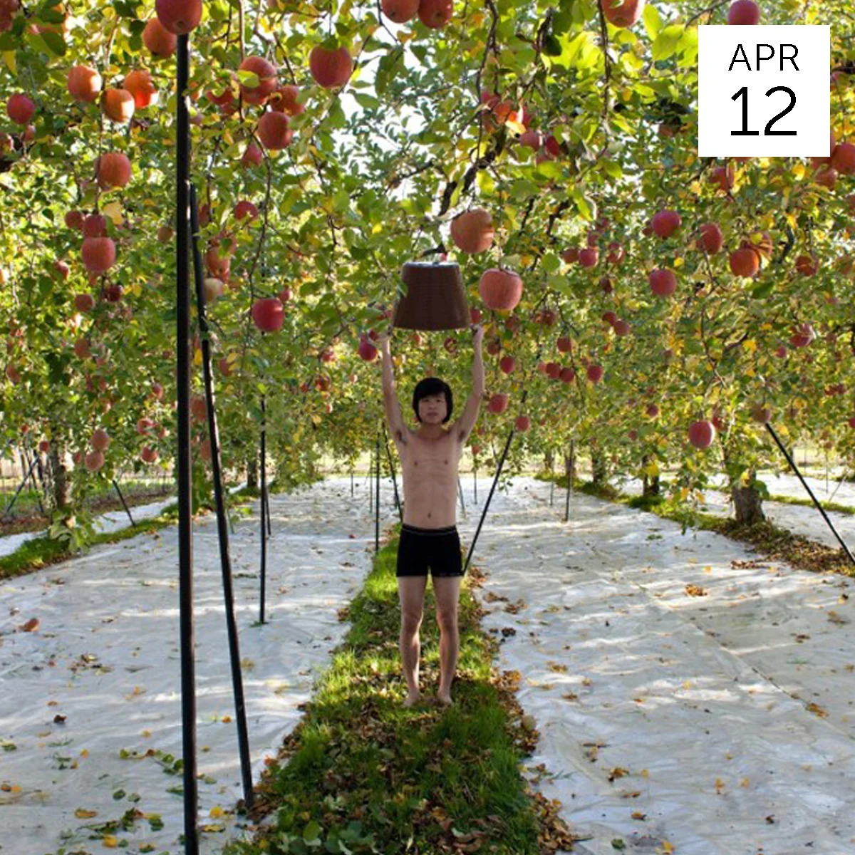 Bruised: Art Action and Ecology in Asia