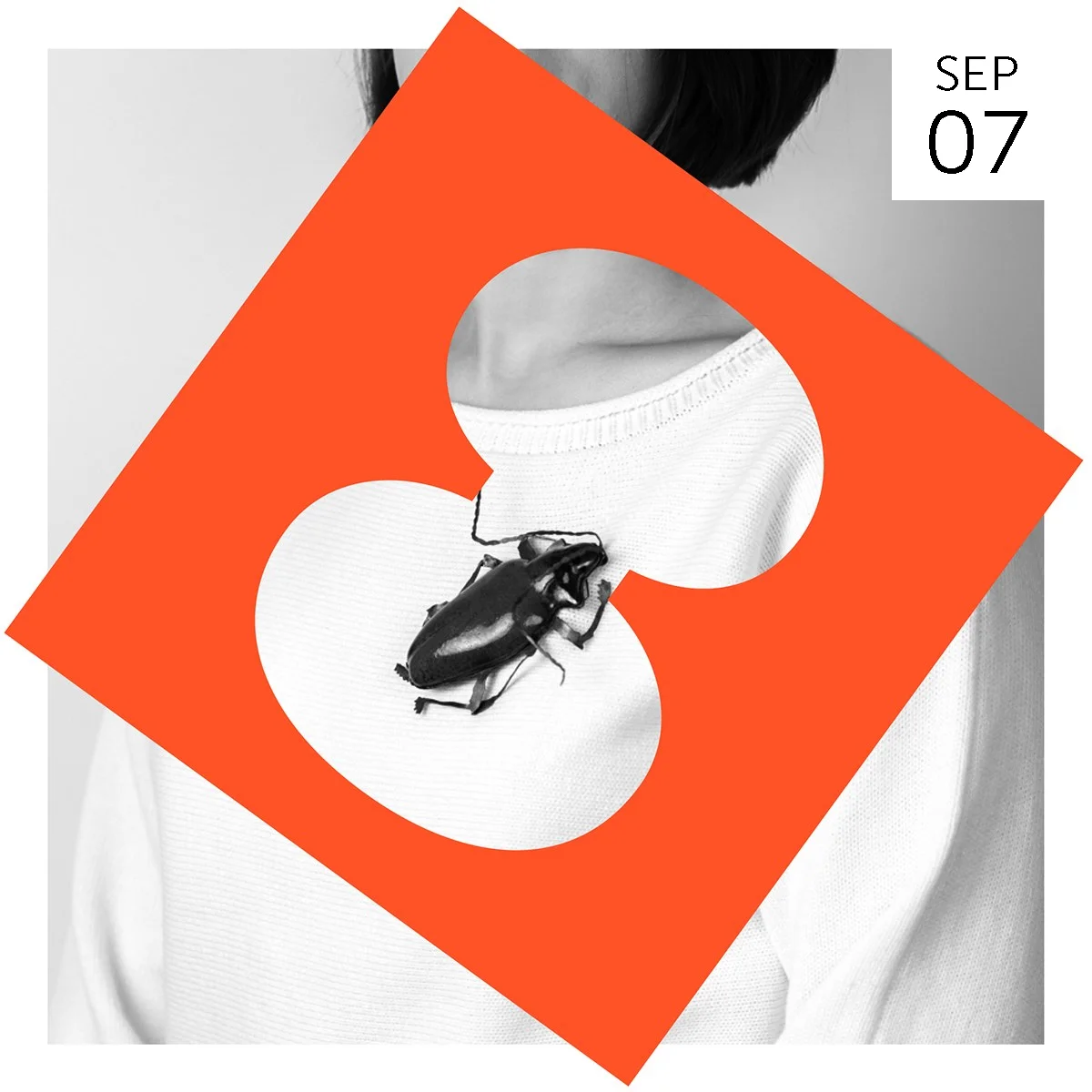 Radiant Pavilion launch party