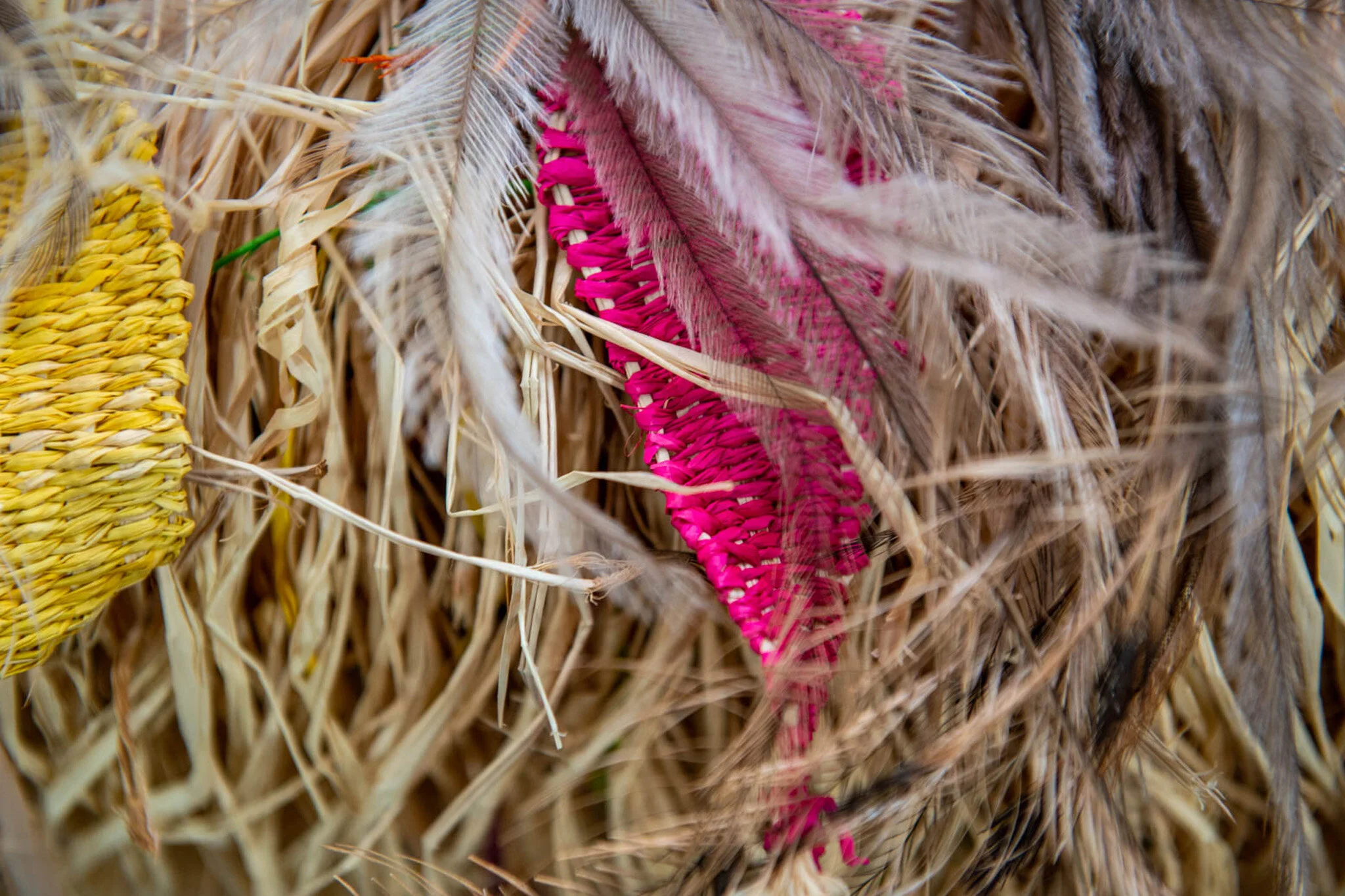 RMIT_School_of_Art_MirrnongMinnie_BushAnimalsWeaving_2019_01.jpg