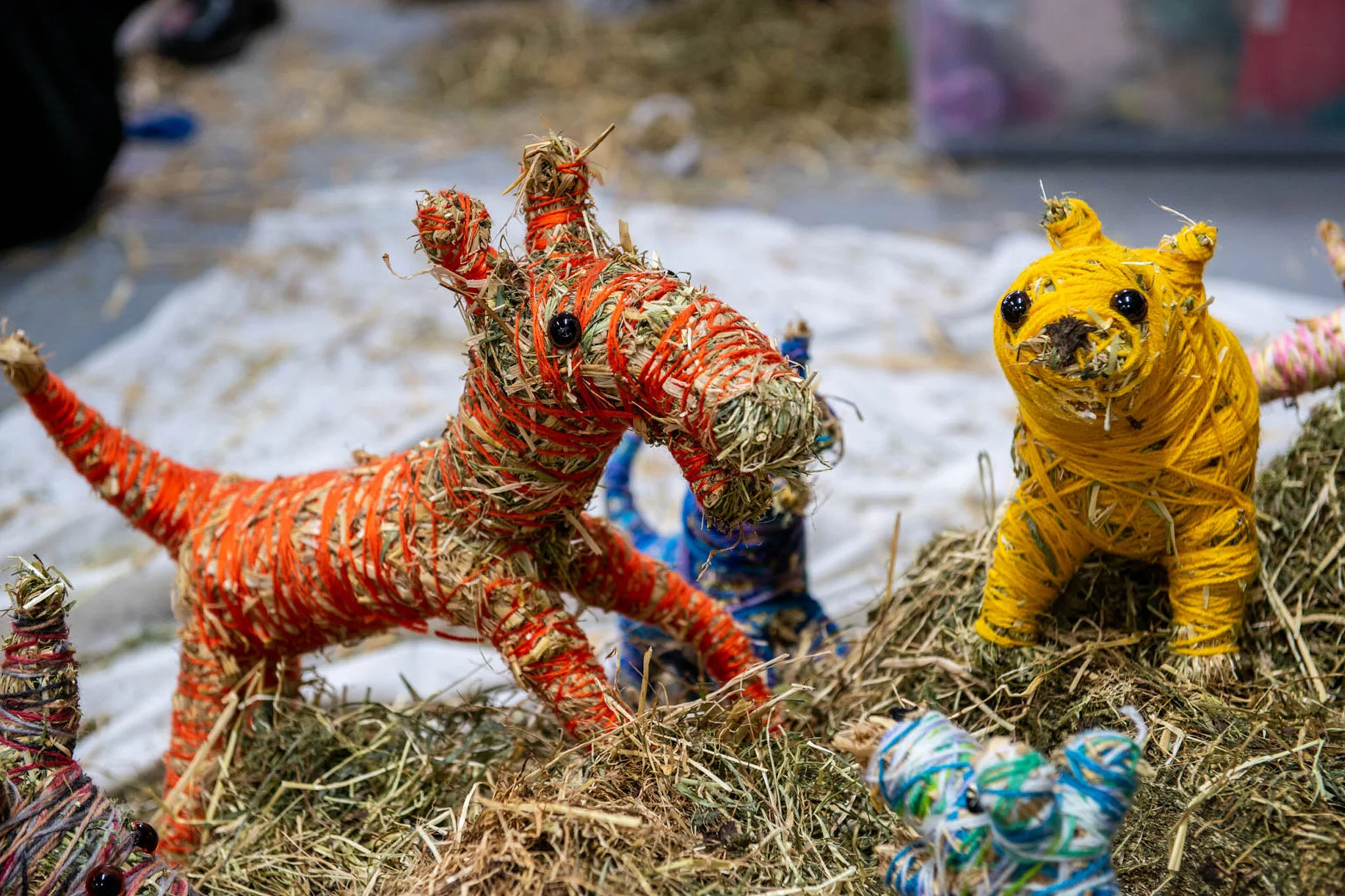 RMIT_School_of_Art_MirrnongMinnie_BushAnimalsWeaving_2019_13.jpg