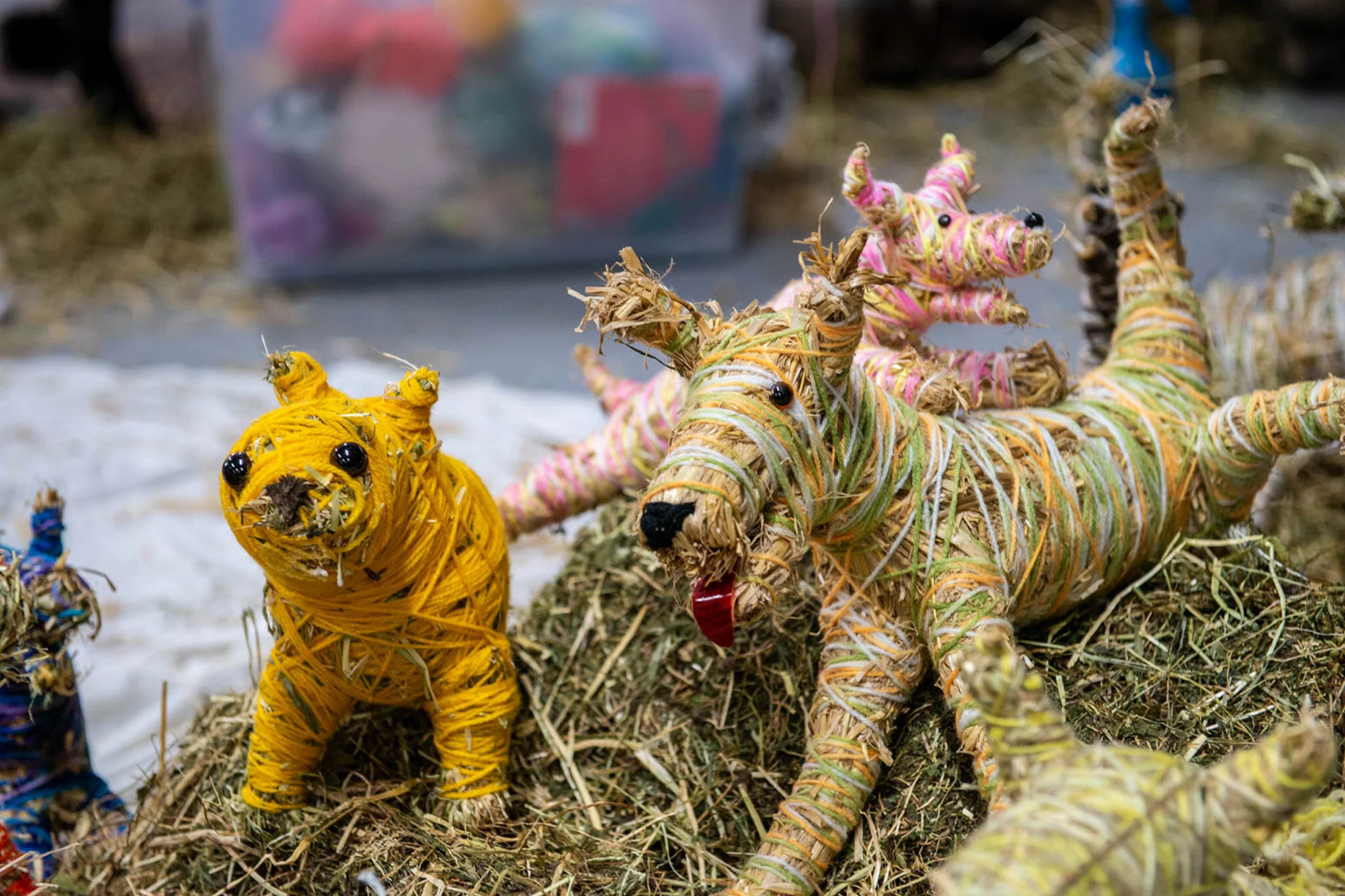 RMIT_School_of_Art_MirrnongMinnie_BushAnimalsWeaving_2019_12.jpg