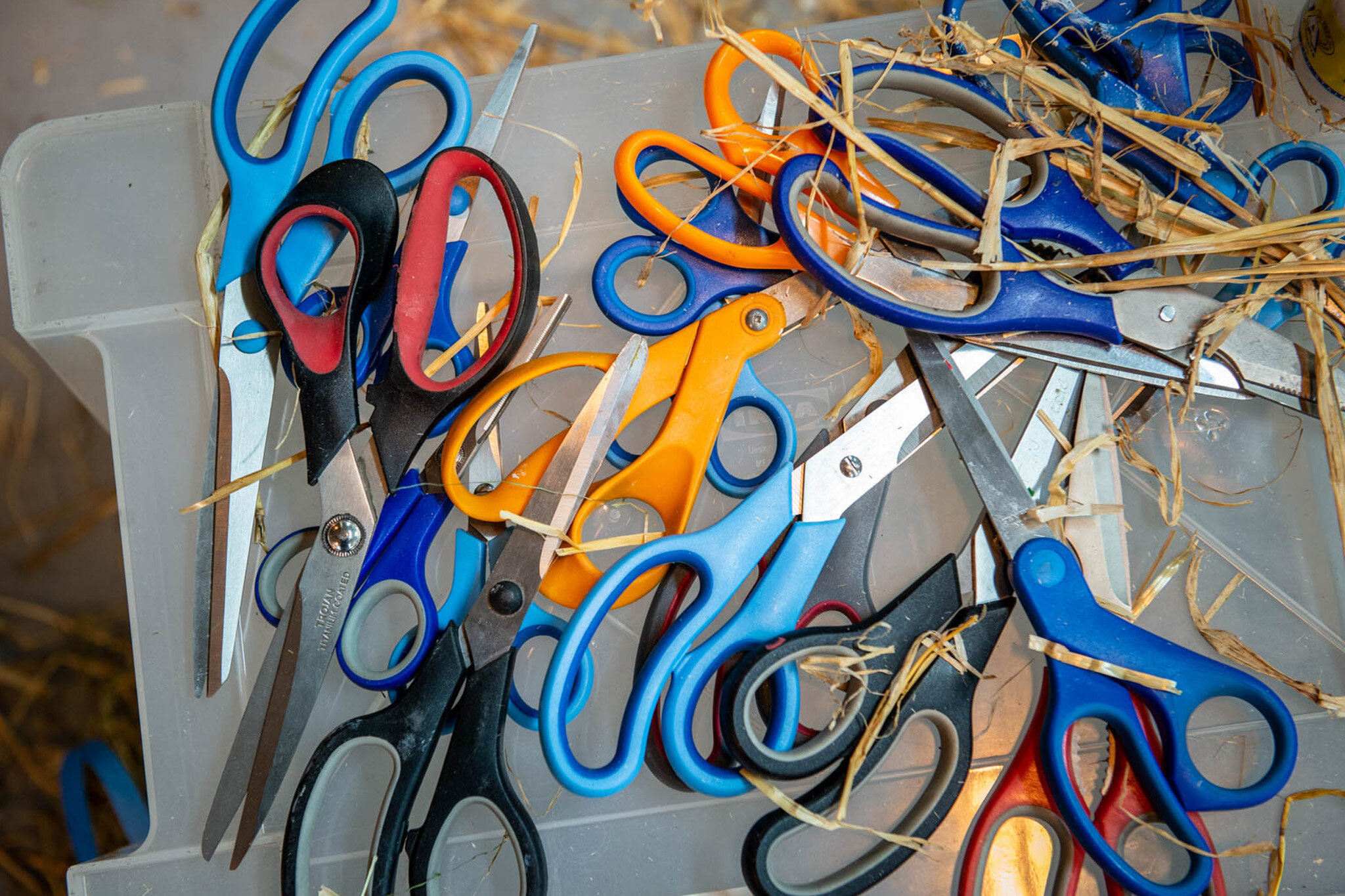 RMIT_School_of_Art_MirrnongMinnie_BushAnimalsWeaving_2019_07.jpg