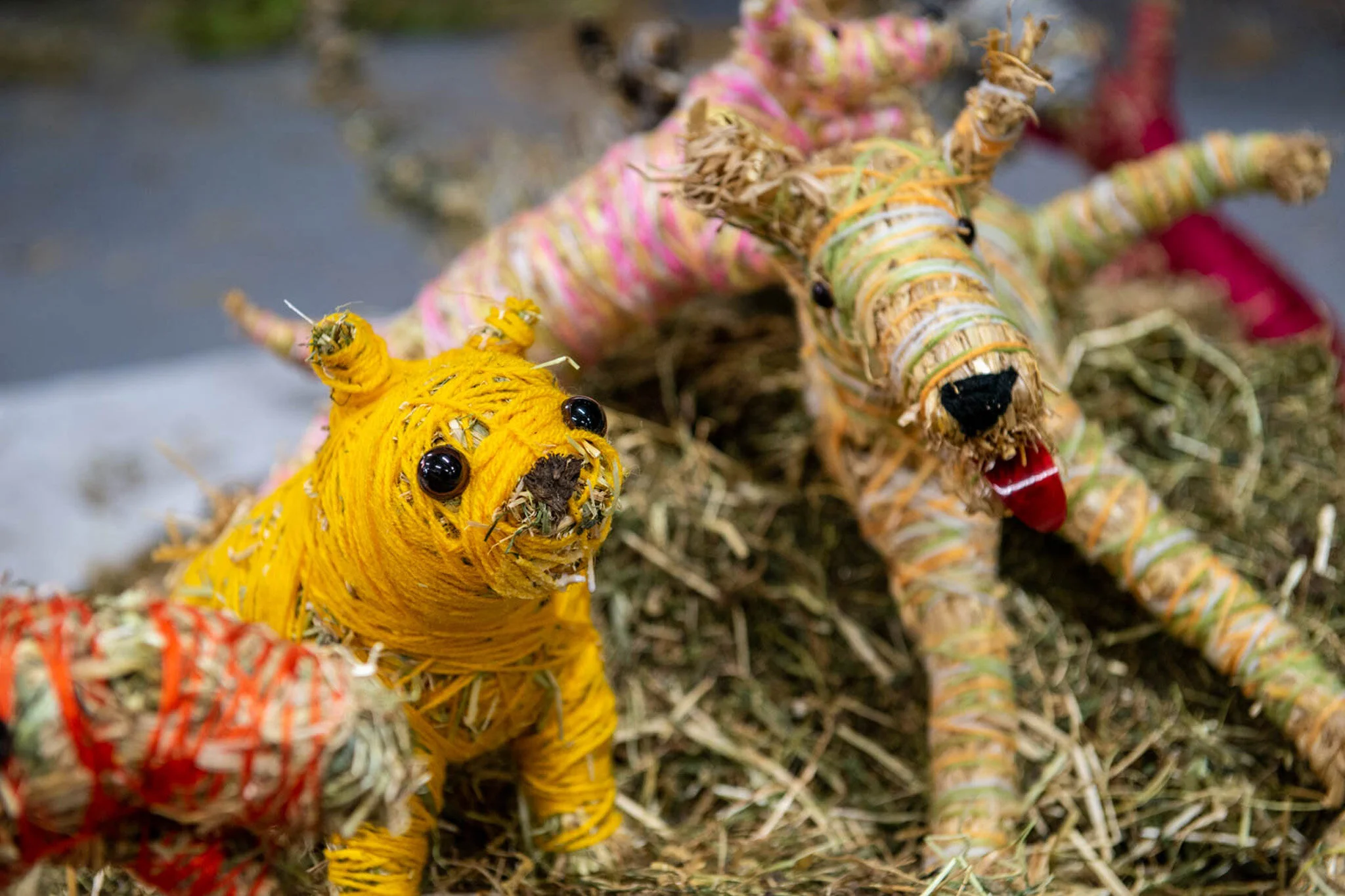 RMIT_School_of_Art_MirrnongMinnie_BushAnimalsWeaving_2019_21.jpg