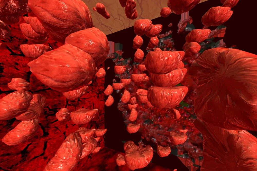 RMIT_School of Art_Events_meatspace_video.jpg