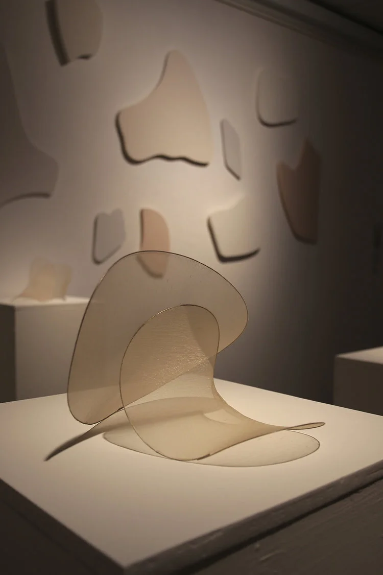 Lau Sze Yin (Bachelor of Arts (Fine Art), graduated in 2018, Painting Major),  A journey of forms : Lightness 1, 2018, Stocking and wire