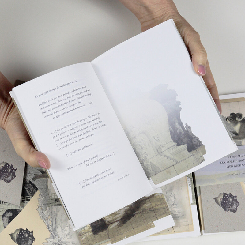  Gracia Haby &amp; Louise Jennison  A Hemline of Sky Through Smoke   A Hemline of Forest Through Smoke  and  A Hemline of Water Through Smoke  2020 Unopened artists’ books, 12 double-sided Indigo Digital CMYK pages with perforated fore-edge and 8 dou