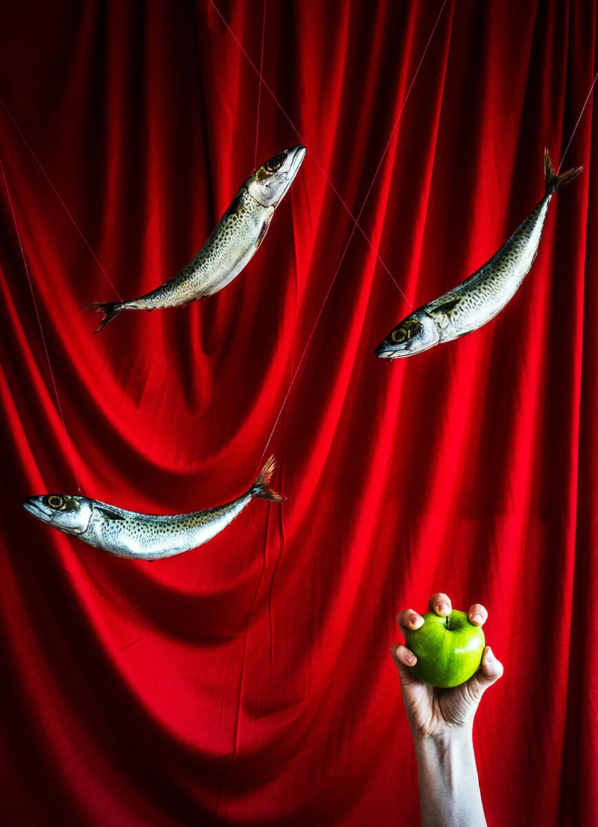 Bachelor of Arts (Photography) Online Information Session