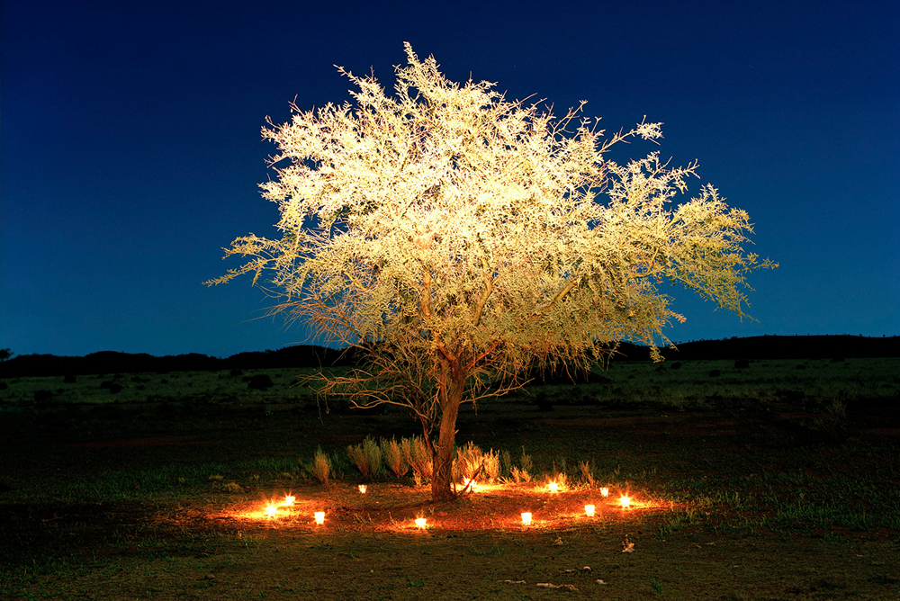 RMIT SoA Venerating Trees.png