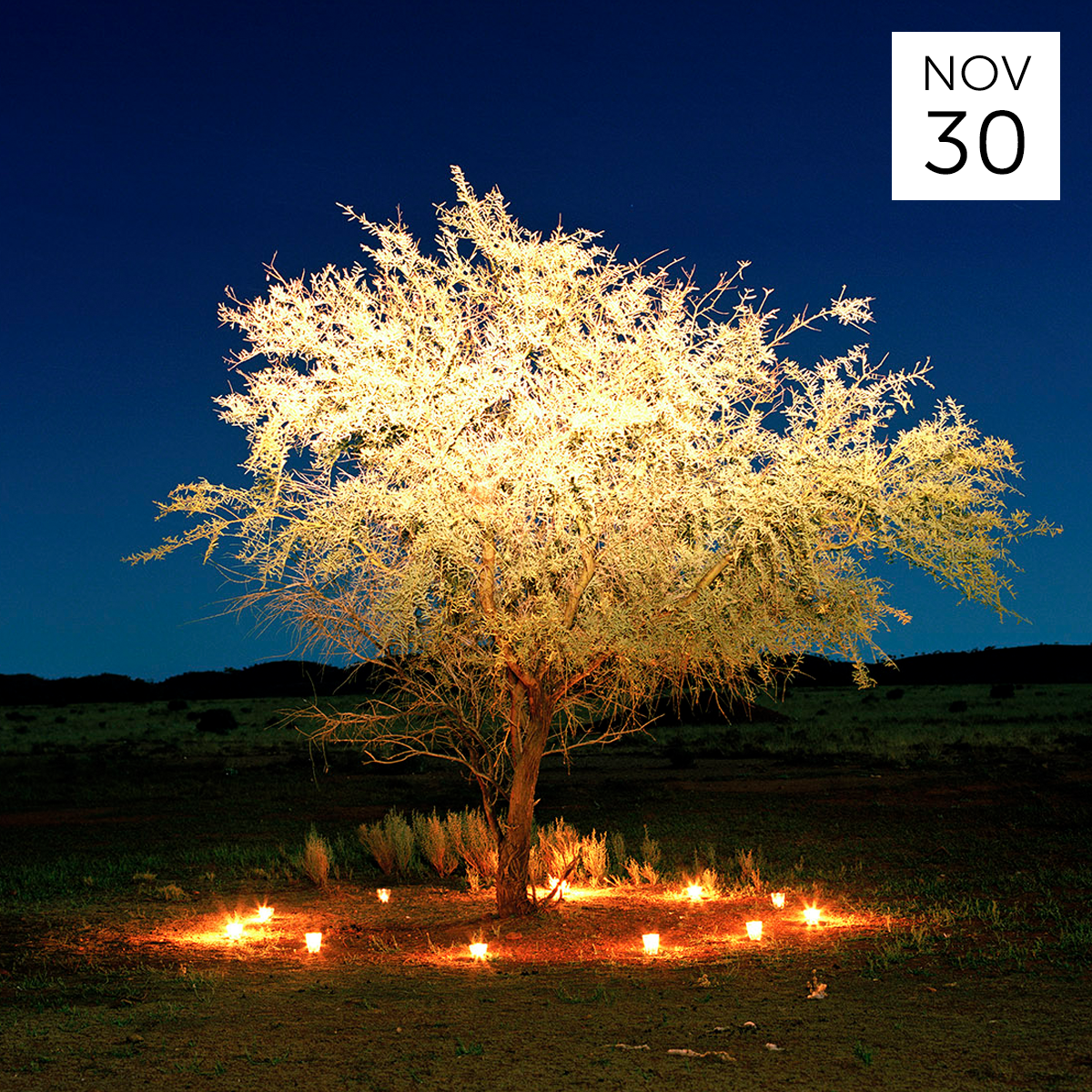 Venerating Trees: AEGIS seminar with Louise Fowler-Smith &amp; Marco Amati