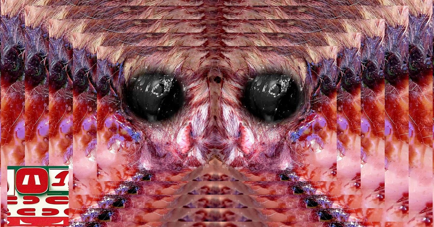ART+FILM: Ian Haig (RMIT School of Art Senior Lecturer)

Thursday 5 June 2025
6.30pm
Cinema 2, Level 2
ACMI, Fed Square

Witness a mutant William S. Burroughs-style report on the emergence of a new kind of media parasite, with sound by Philip Brophy 