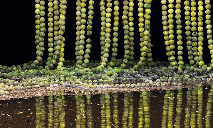 Please join us for the opening celebration of three new exhibitions at First Site Gallery this Wednesday 21 May, 5pm-7pm

&lsquo;Of here&rsquo; by Michelle Stewart, Susan Buchanan, Deborah Fisher
Of here - Taungurung forest, Birrarung, Naarm streets
