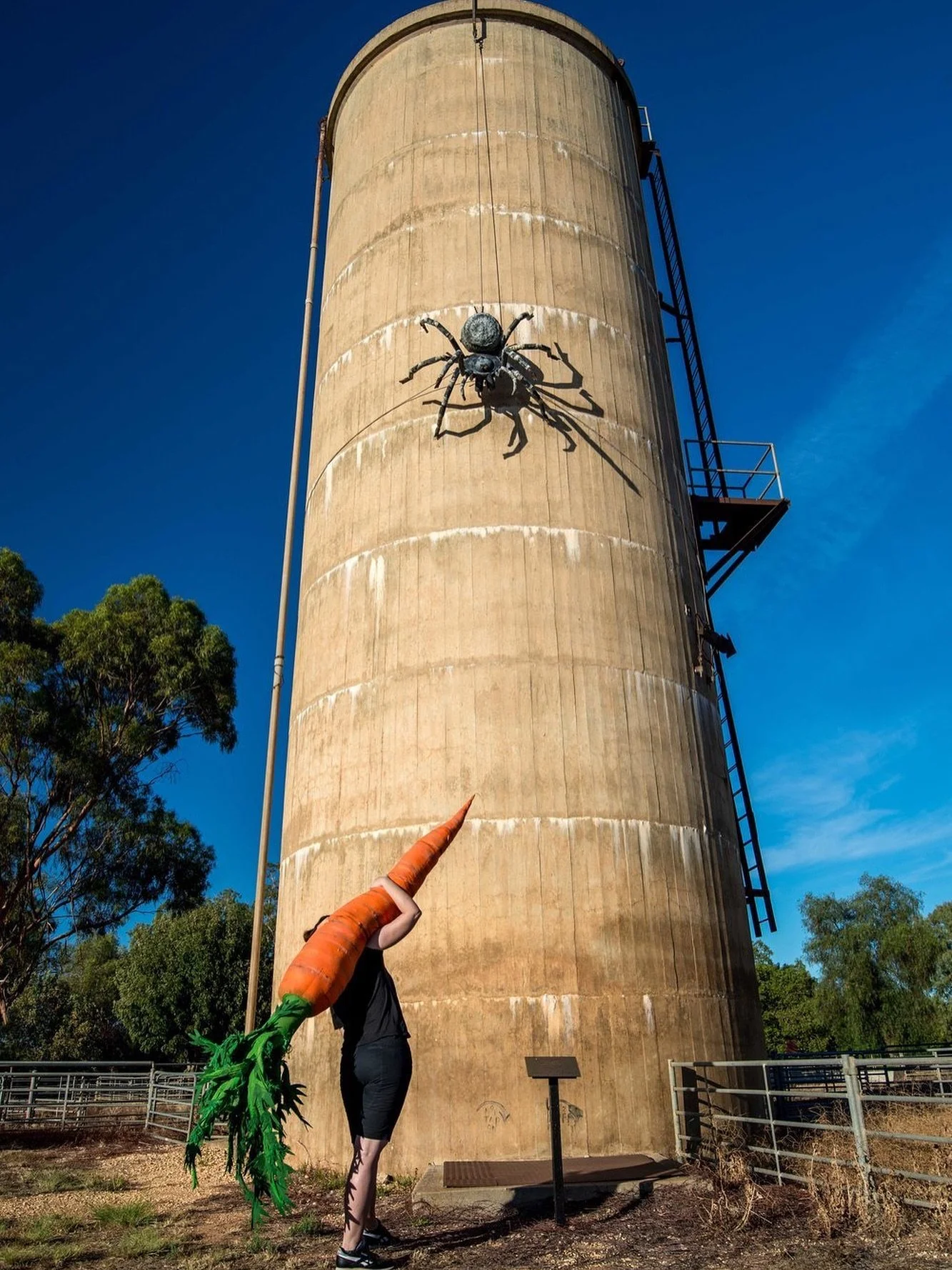 Expert Alert 🍍🚗 🐏 📸- School of Art Senior Lecturer Clare McCracken (@mccracken_clare) was on ABC Radio National&rsquo;s Life Matters discussing Australia&rsquo;s obsession with Big Things &ndash; the large-scale roadside attractions that feature 