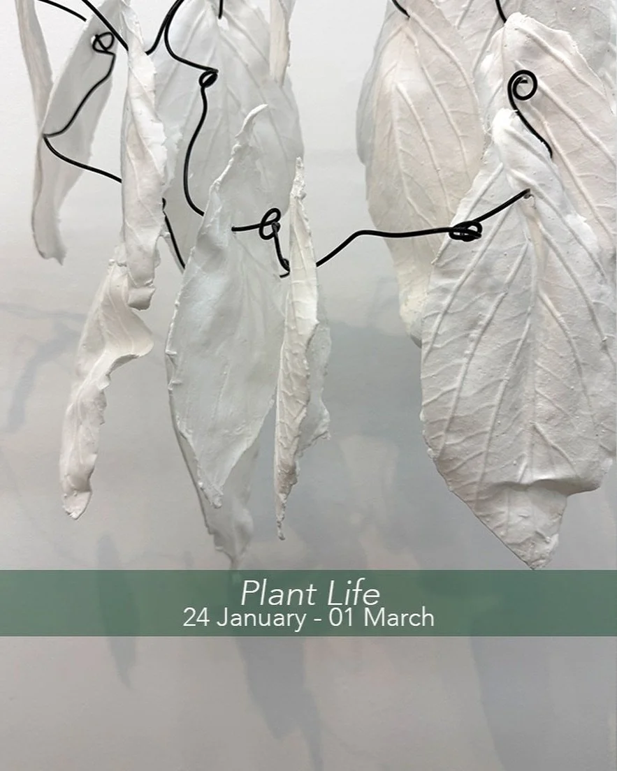 The upcoming exhibition &lsquo;Plant Live&rsquo; at Stockroom Kyneton features work by many current and former staff and alumni from RMIT School of Art.

Opening: Saturday 24 January, from 4pm

24 January &nbsp;/ 1 March 2026

Artists
Sofi Basseghi, 