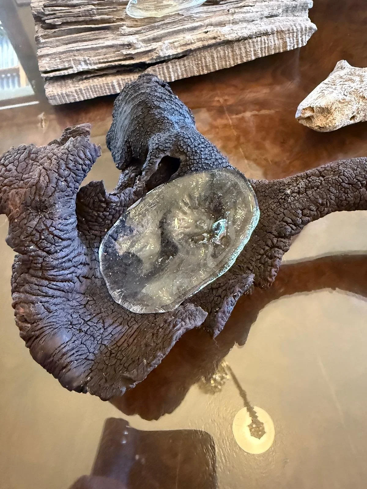 Currents of Practice returns for World Wetlands Day 2026&nbsp;as an artist-led exhibition and public program exploring wetlands through contemporary art, place-based inquiry and community connection. Curated and founded by Rosa Mar Tato Ortega, Curre