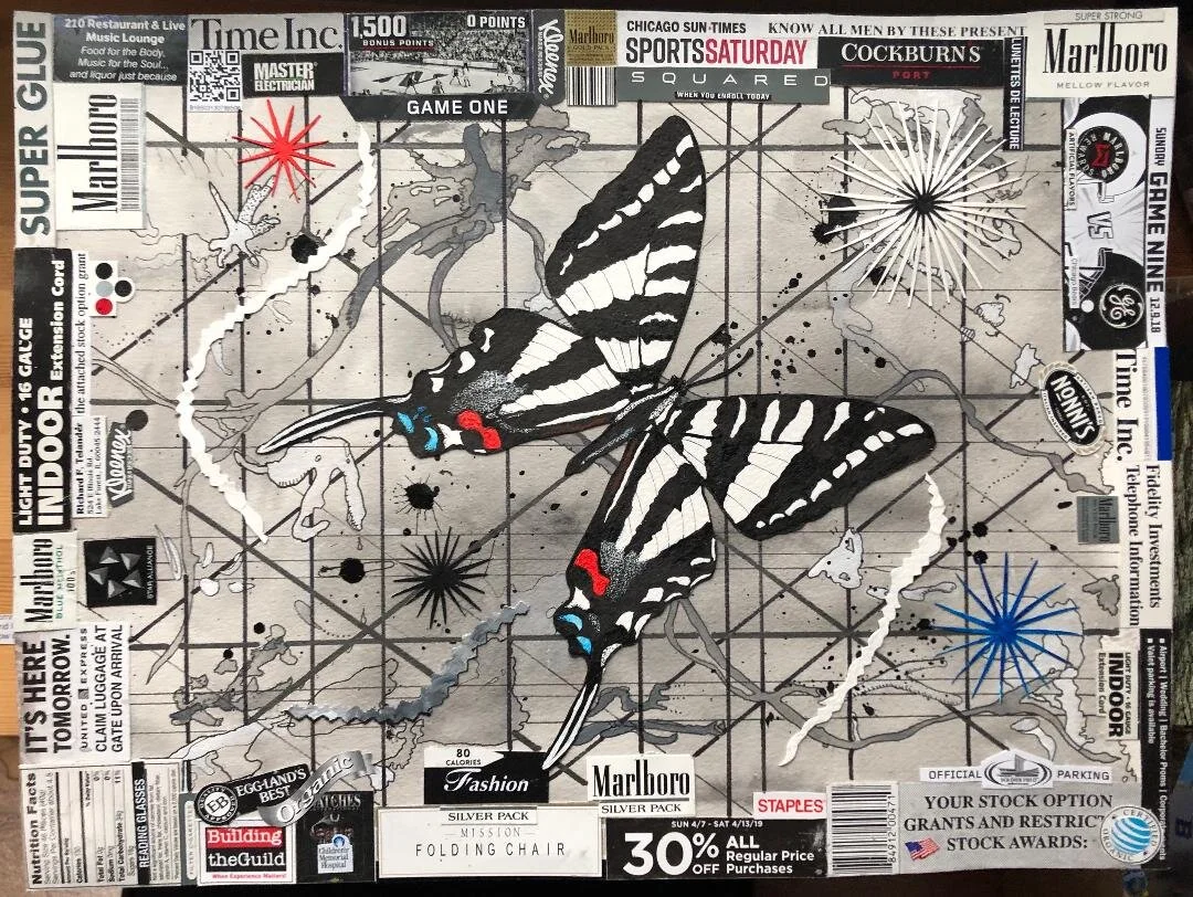 Zebra Black &amp; White