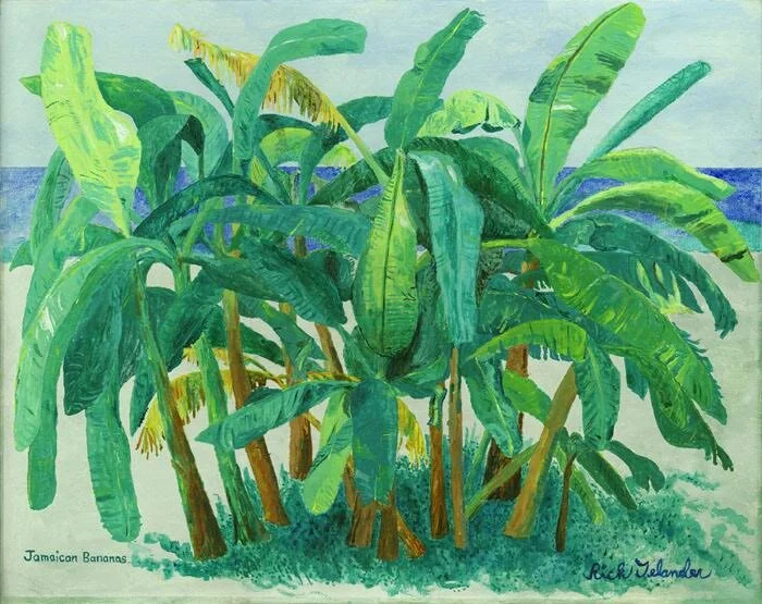 Jamaican Bananas.jpeg