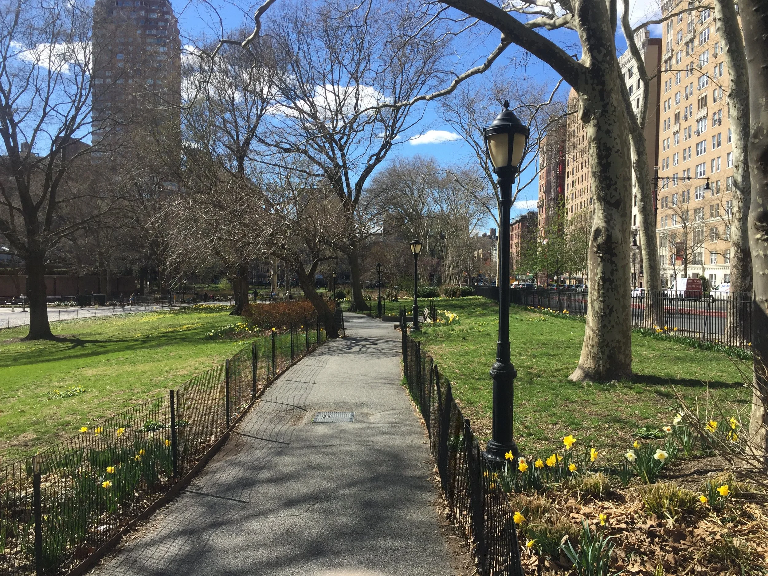 The Great Gardener of Theodore Roosevelt Park