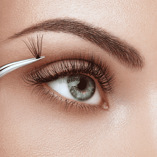 Eyebrow and Eyelash Treatments Erina