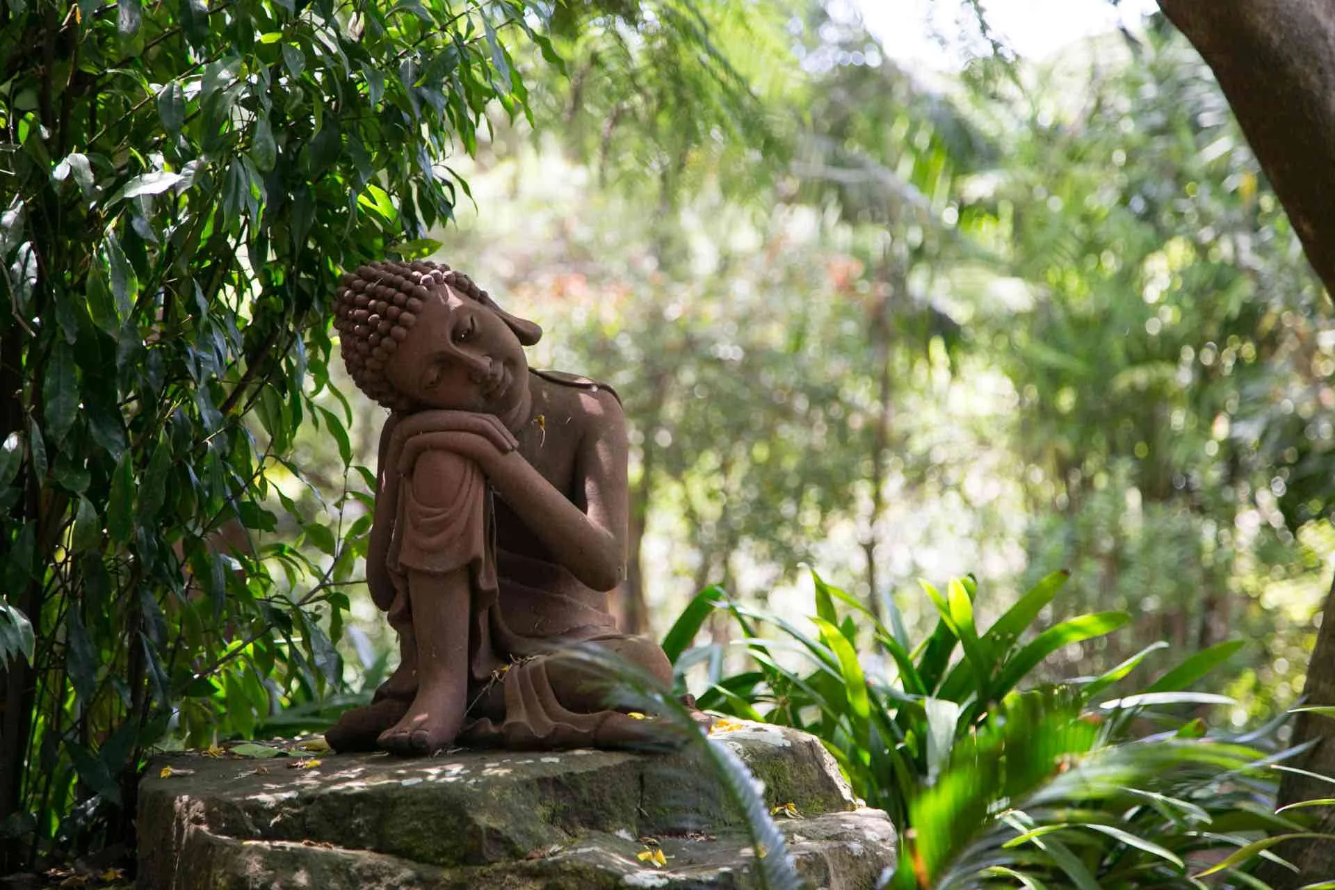 Buddha.jpg